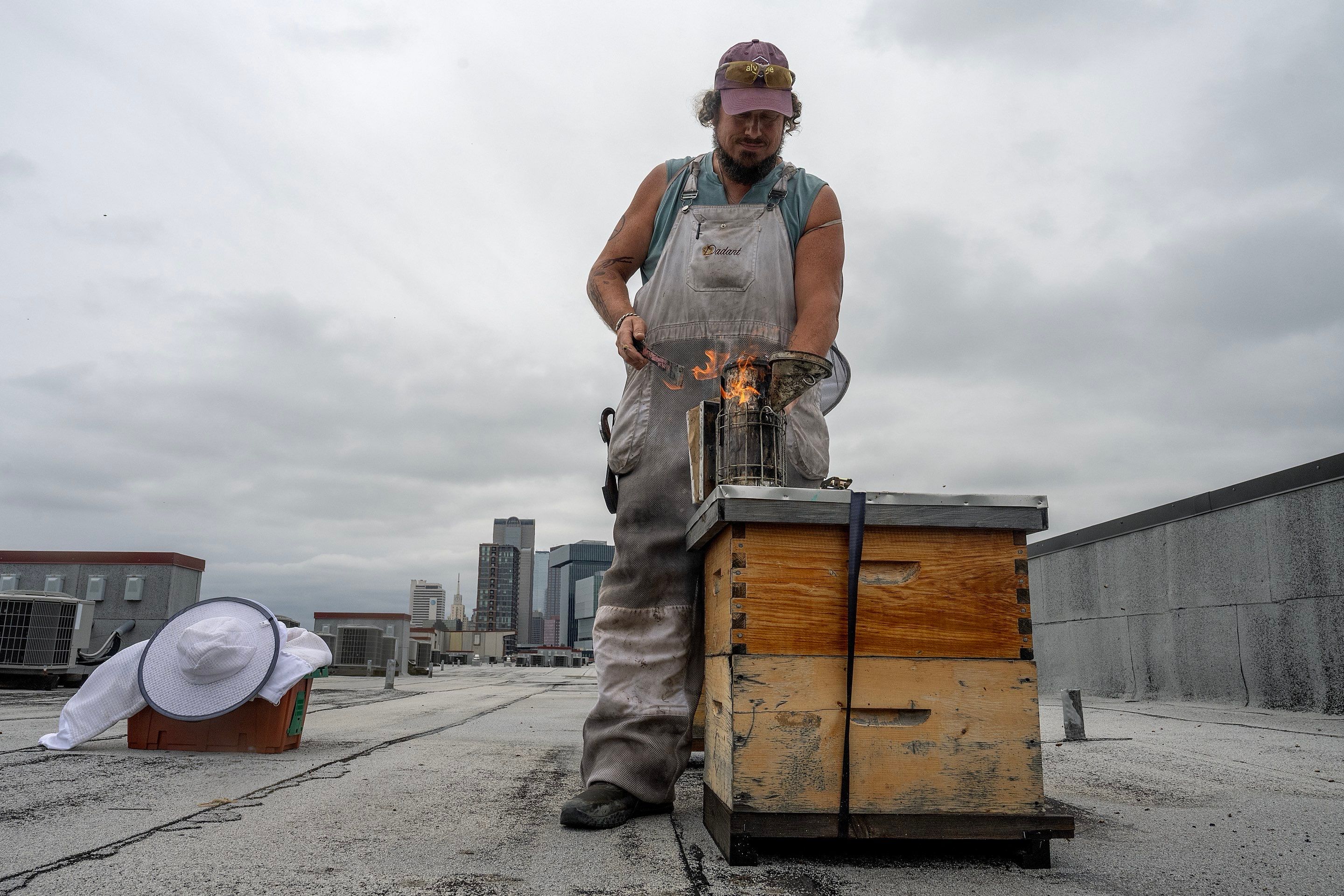 Urban Beekeeping in Dallas by Rockwall Honey Bee Company