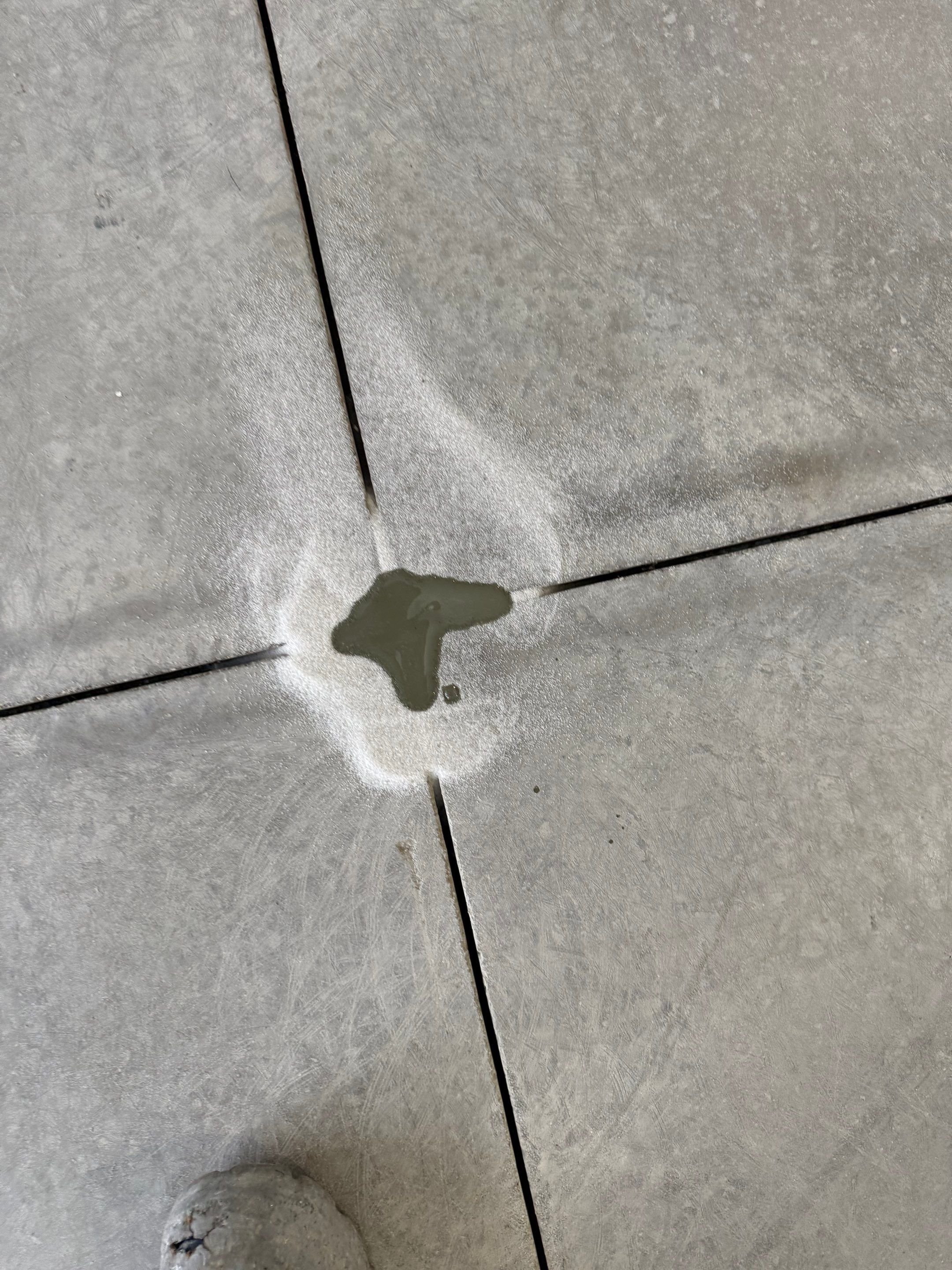 High-Gloss Epoxy Flake Garage Floor Coating in Brandon by Select Painting, Coatings & Garage Cabinets