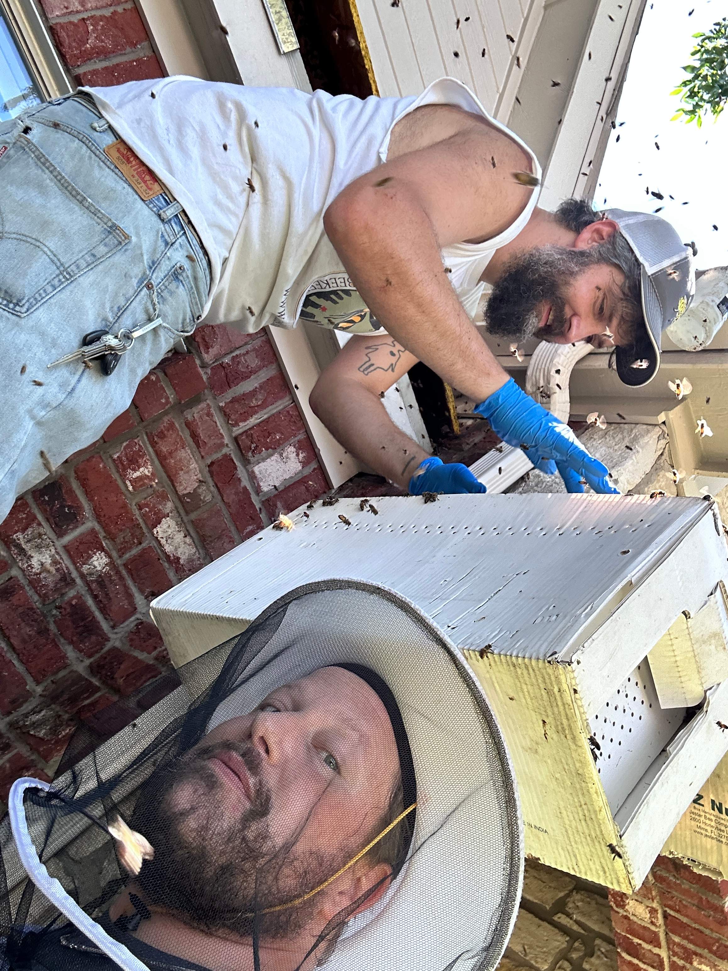 Dormer Window by Rockwall Honey Bee Company