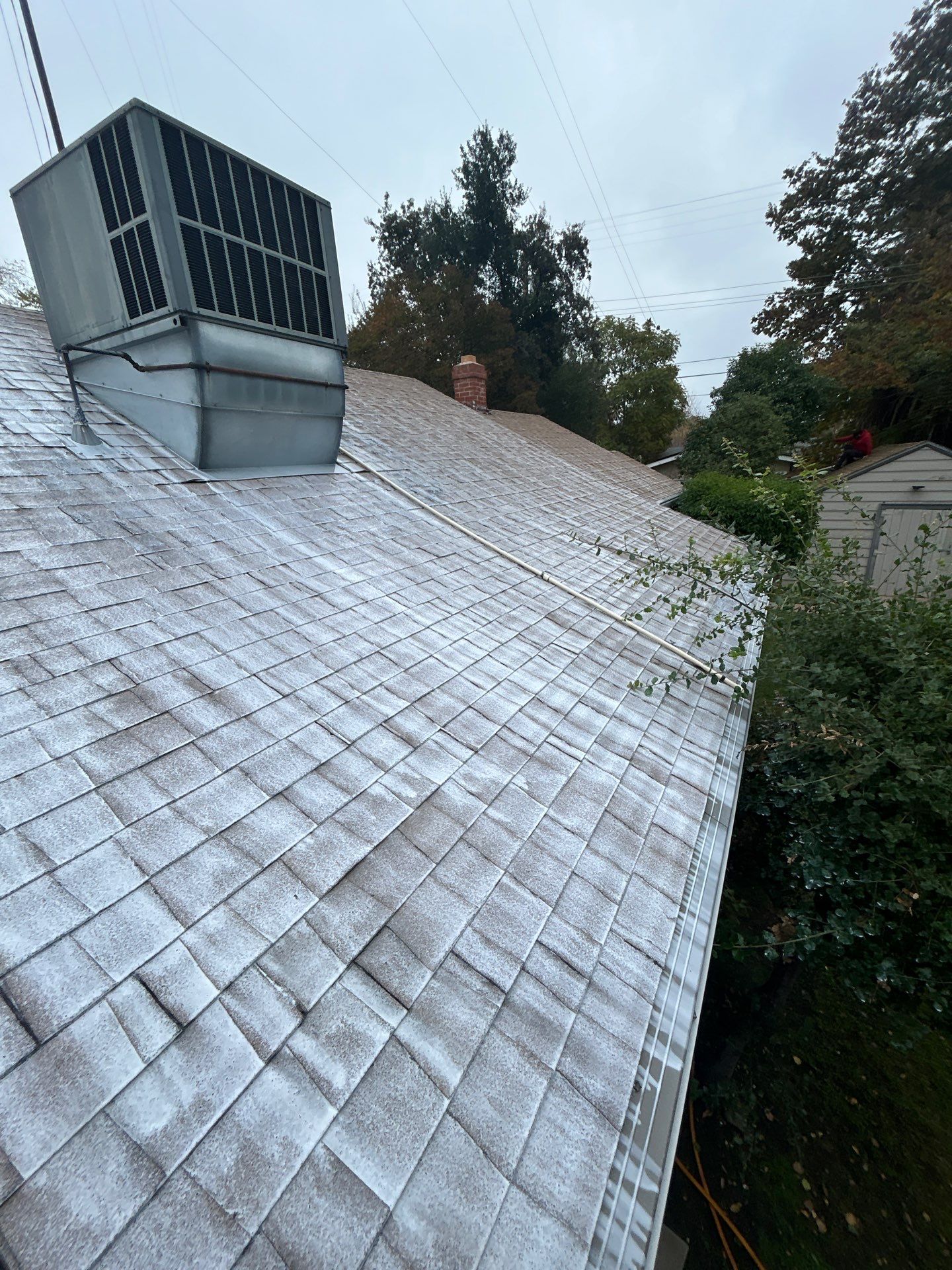 Roof Rejuvenation using Roof Maxx Treatment by Roof Maxx of Folsom