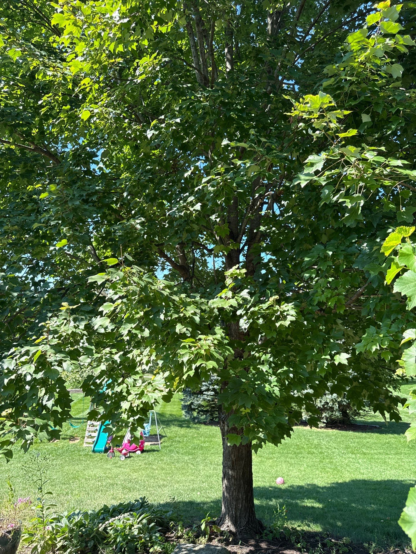 Backyard Retreat: Techo-Bloc Patio + Firepit Lounge by Saylor’s Lawn & Landscape
