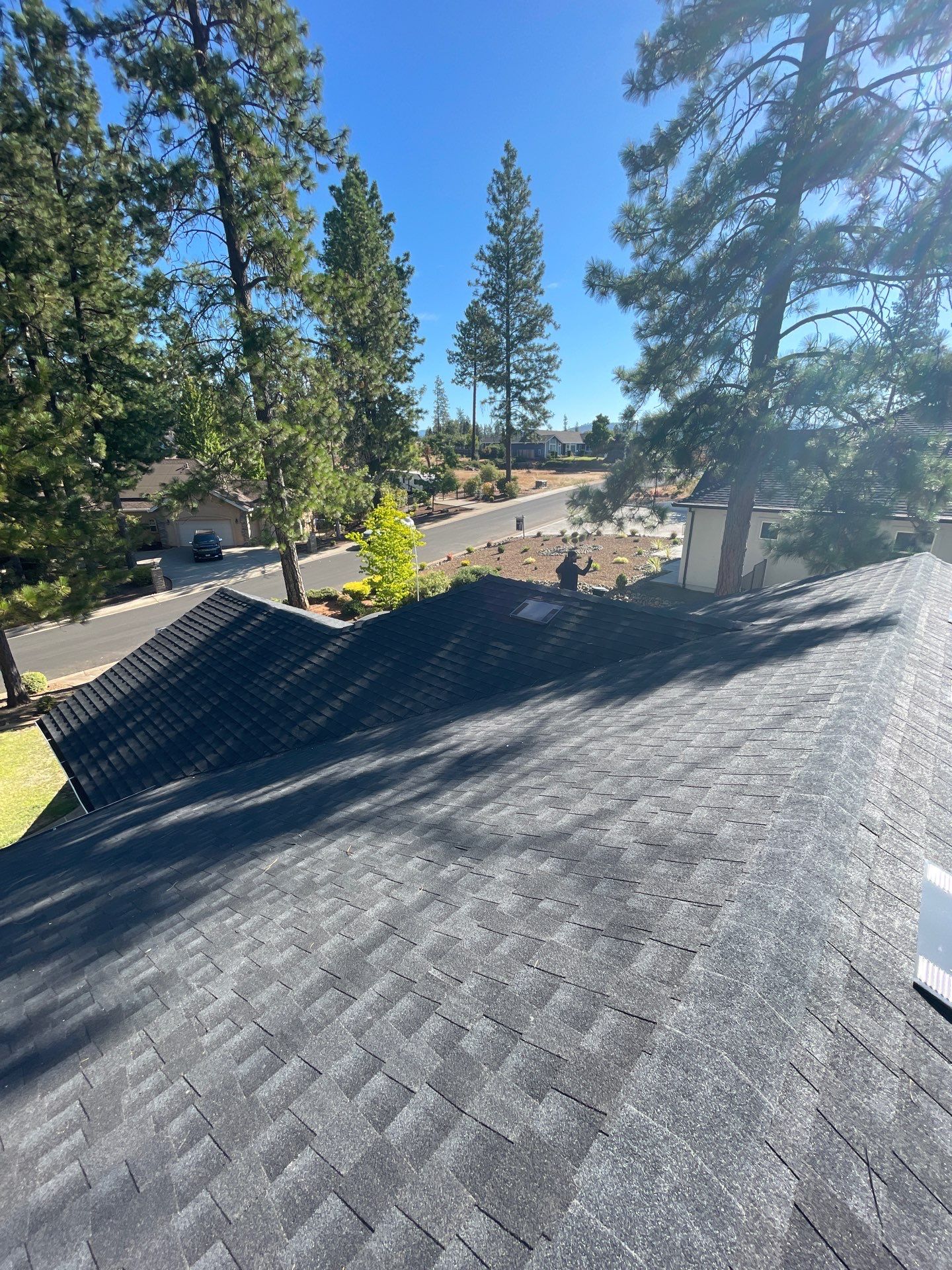 Paradise Shingle by Butte Roofing Company License #567600