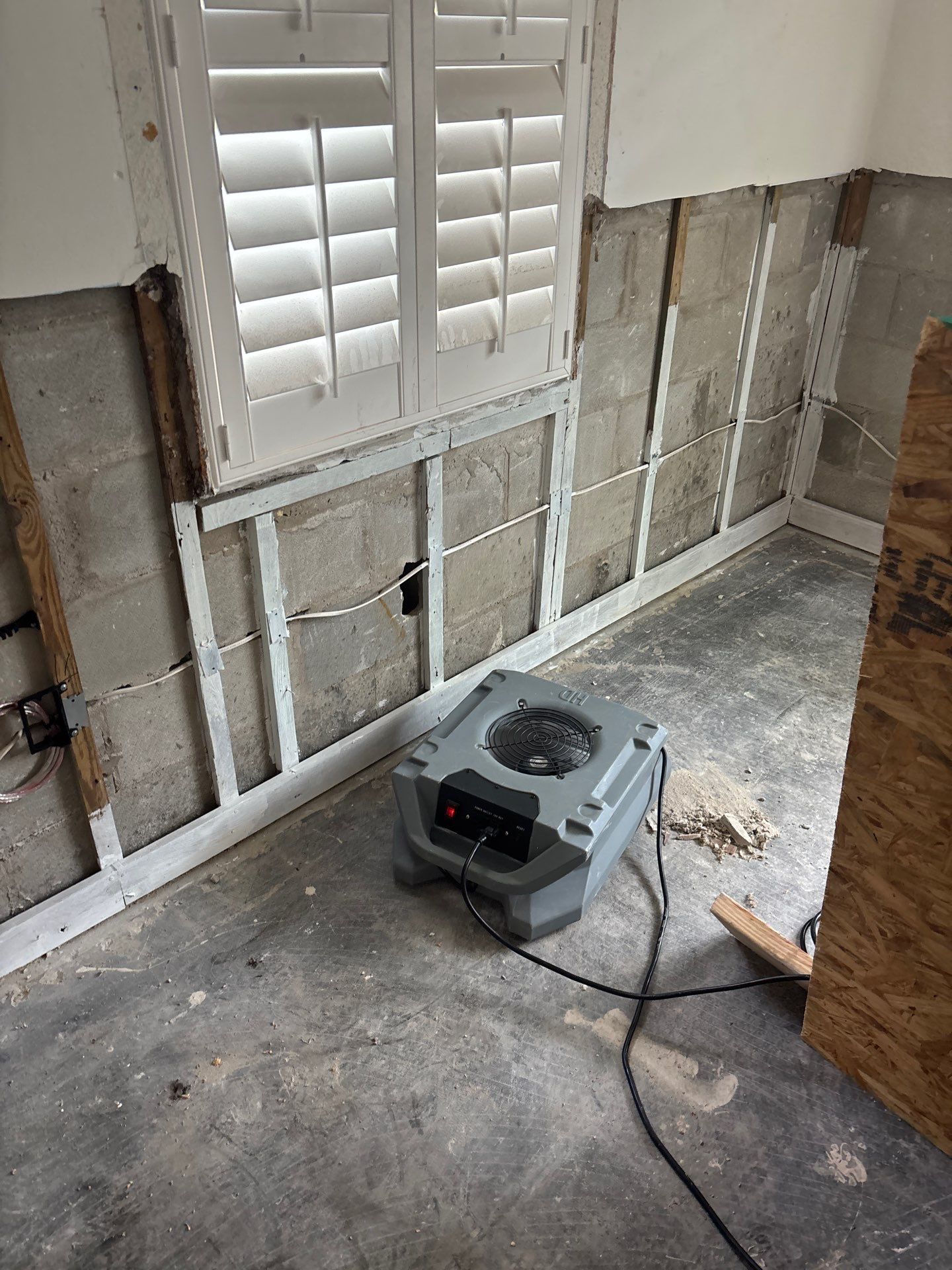 Mold Damage Restoration In Dunedin, Florida by Ampm Restoration Services