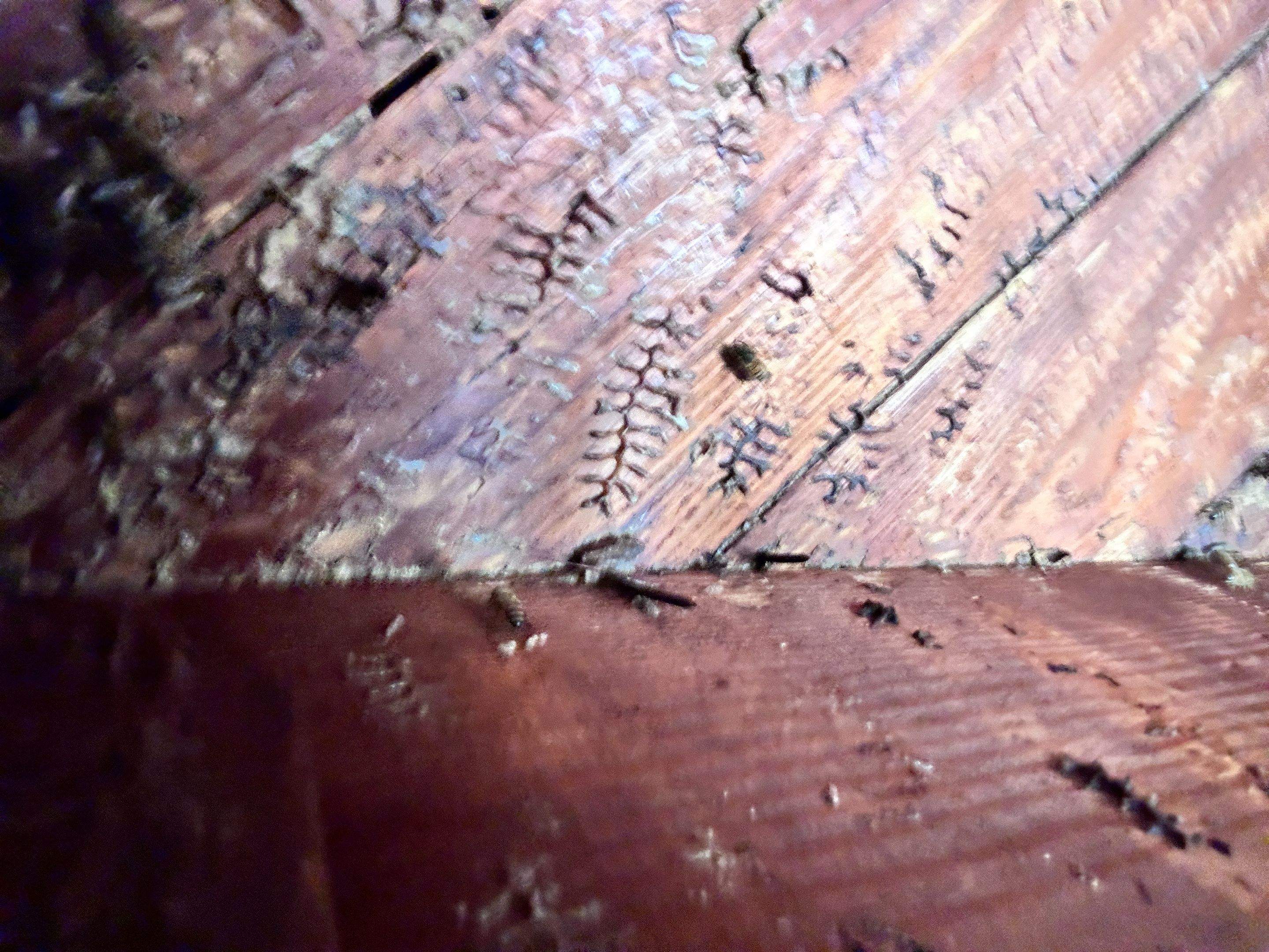 Hidden Garage by Rockwall Honey Bee Company