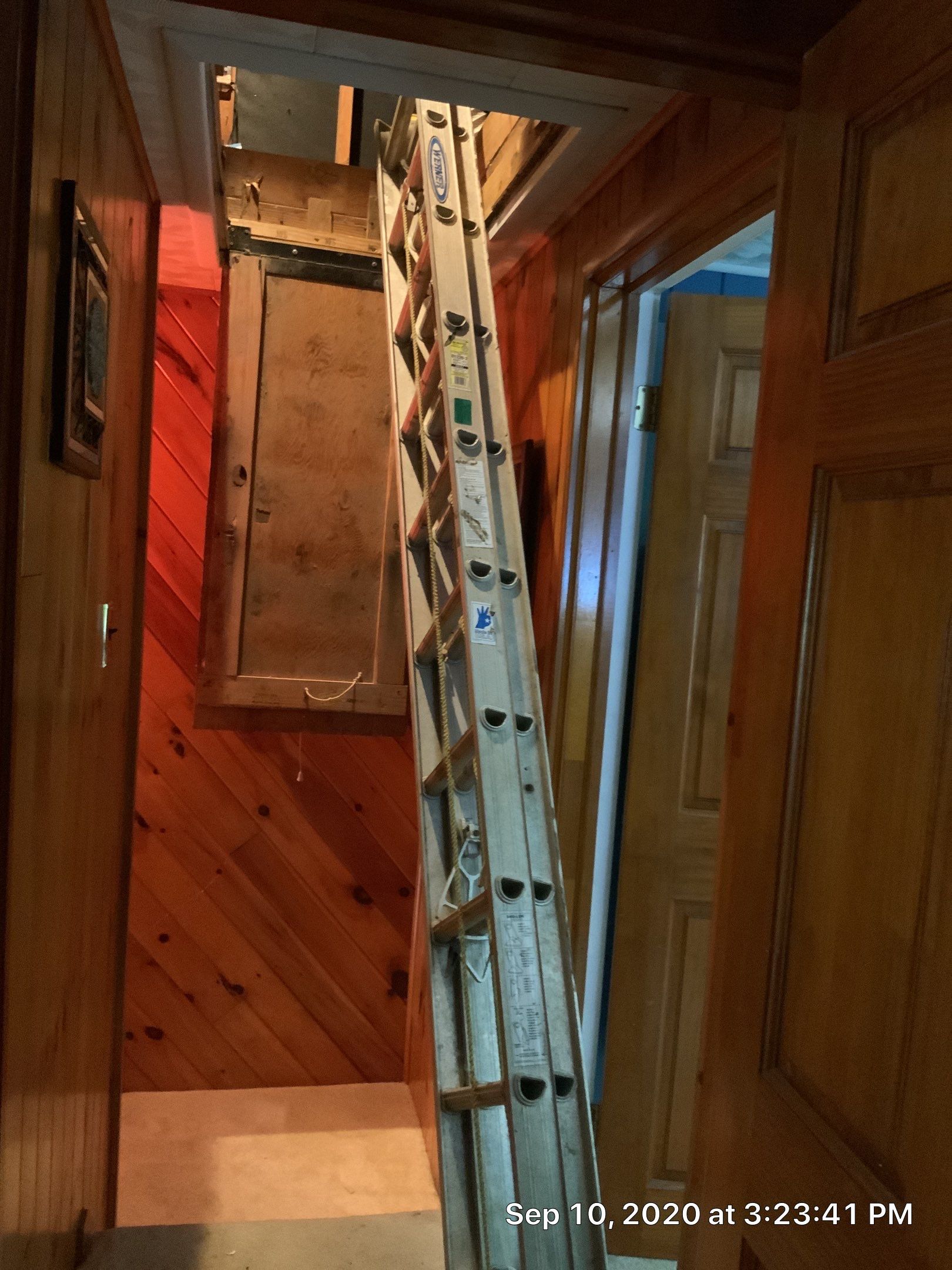 Attic Mold Remediation Job in Vernon Township, NJ by Pure Service Pro, LLC 