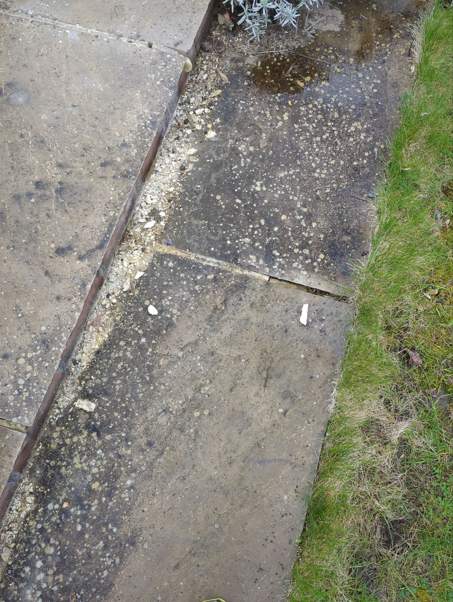 Patio Area Spring Clean using Mosmatic Flat Surface Cleaner by Ges Exterior Cleaning ltd