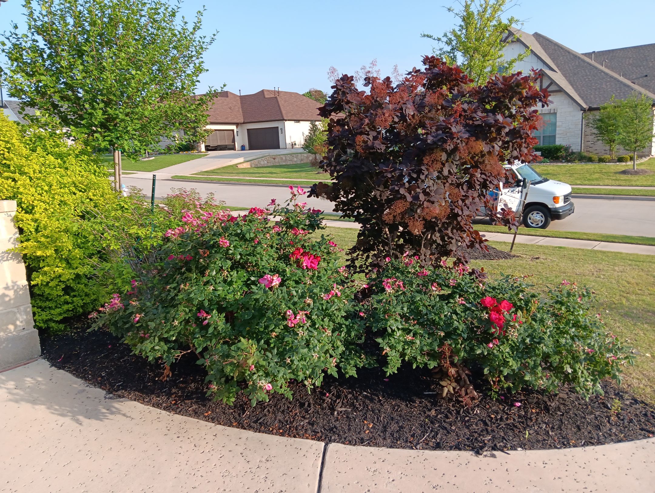 Insurance Claim Roof and Gutters using Certainteed Landmark Weathered Wood by Tex-Line Roofing