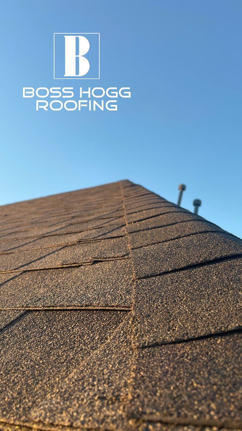 Sims B by Boss Hogg Roofing