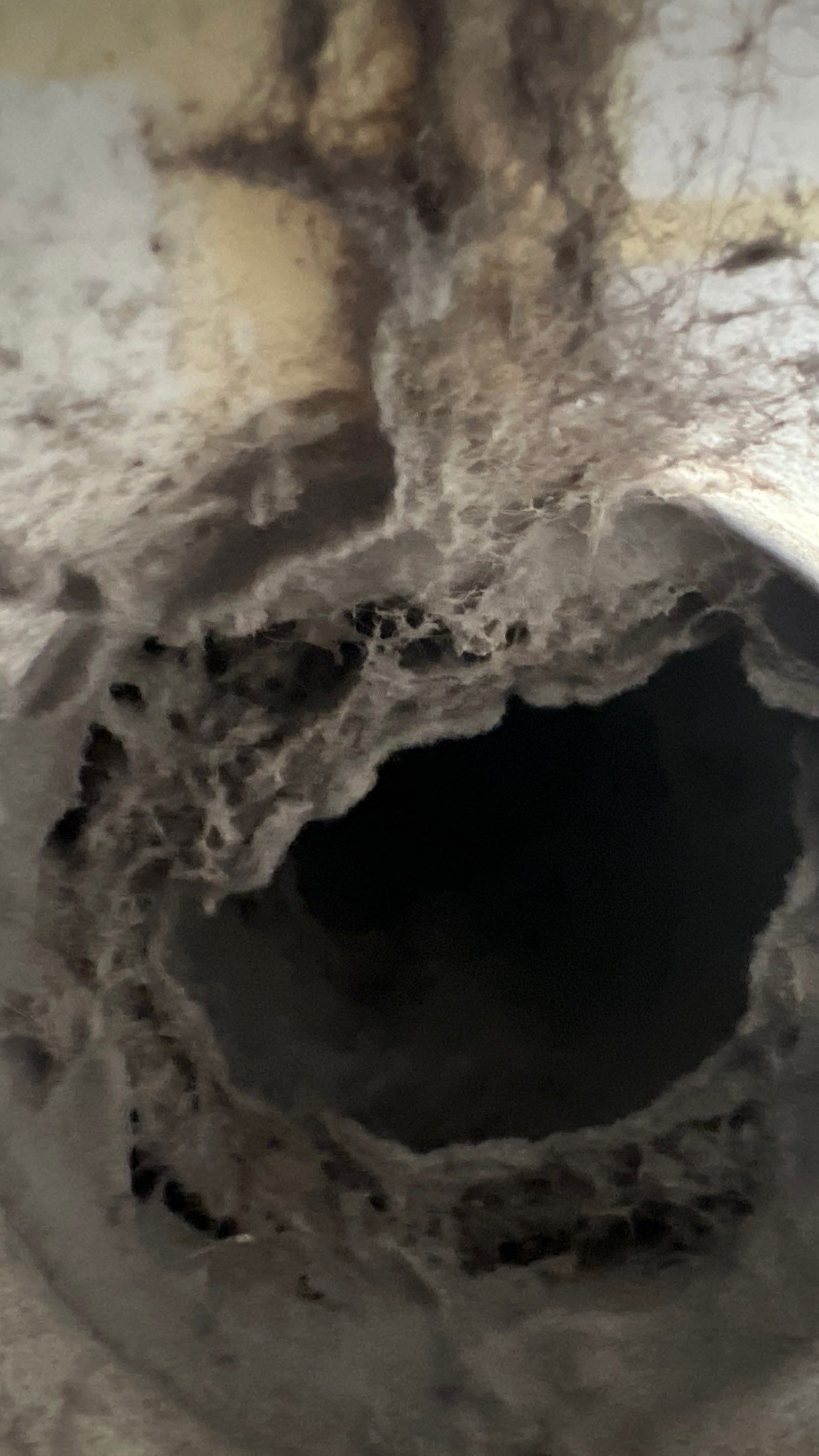 Dryer Vent Cleaning in Squirrel Hill, PA by Superior Air Duct Cleaning
