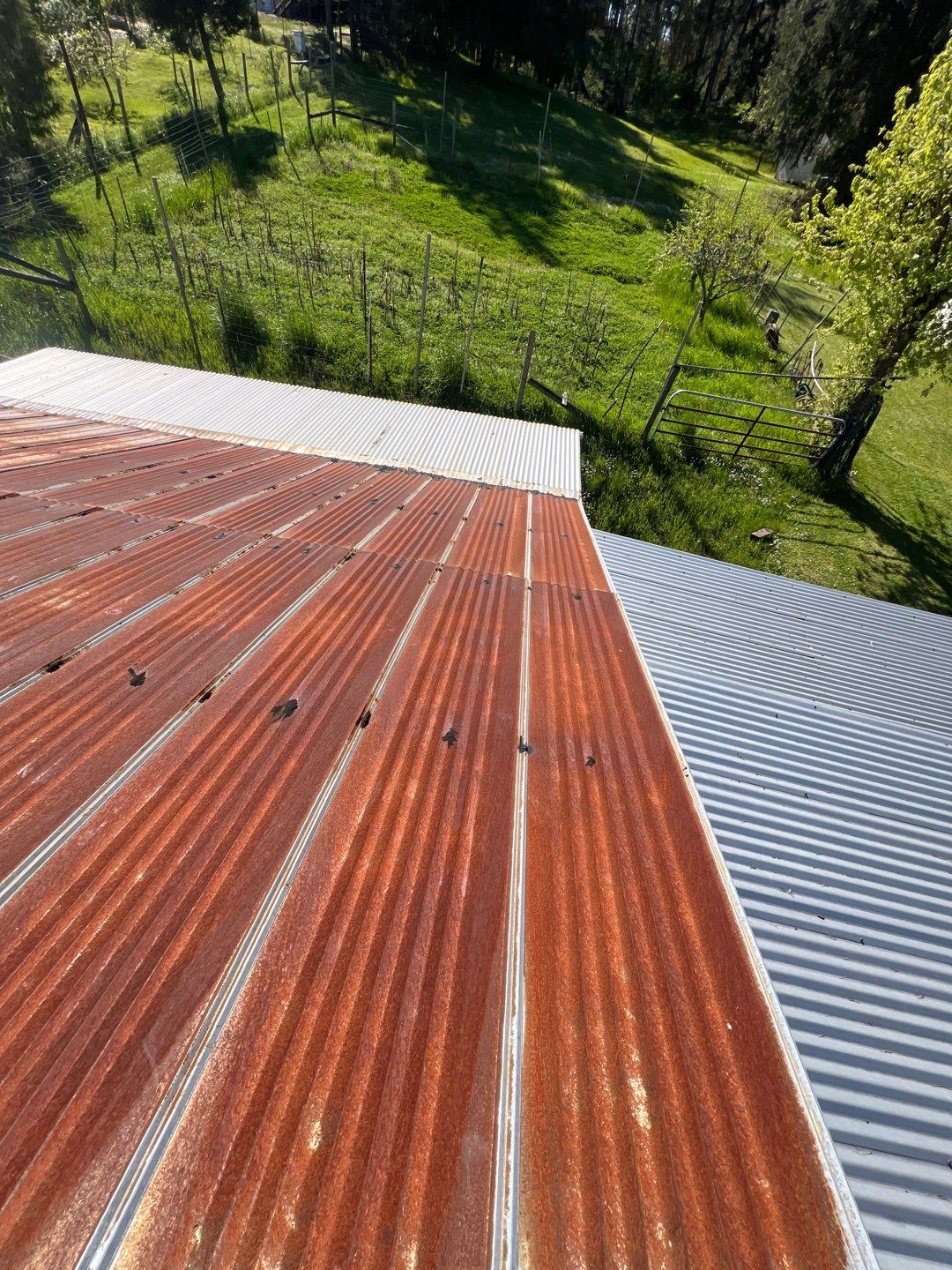 Residential Roofing Installation using IKO Dynasty (Color: Frostone Grey) by Orezona Building & Roofing Company, Inc.