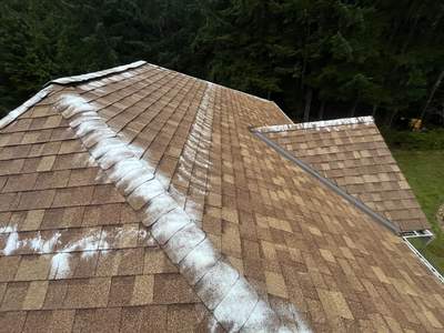Residential Roof Cleaning in Olalla, WA