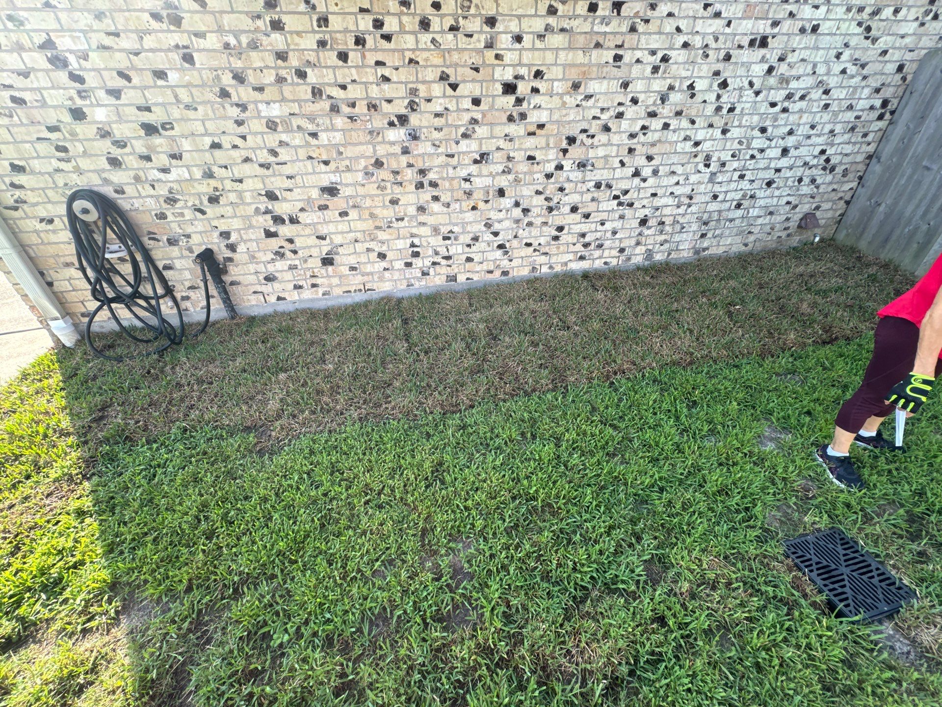 🌟 Ann Randolph’s Complete Outdoor Makeover by Texas Urban Elements