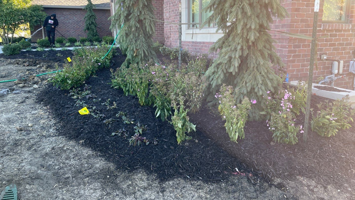 Landscape Bed Updates.  by New Horizon Landscapes
