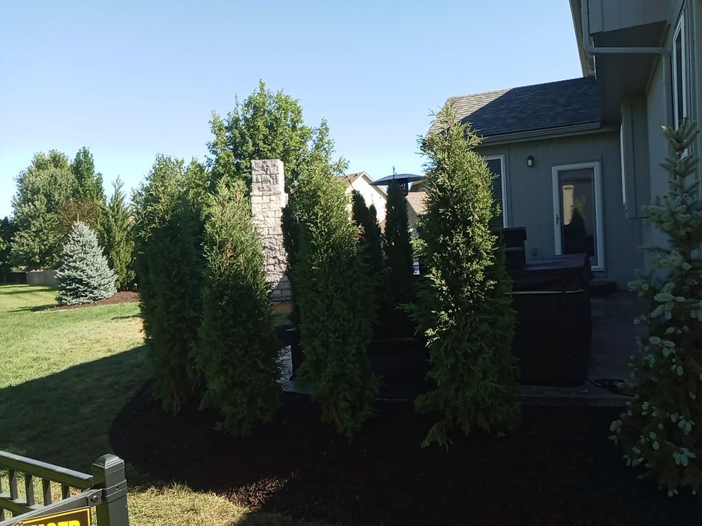 Back Yard Fireplace and Landscape by LAND ESCAPES LLC