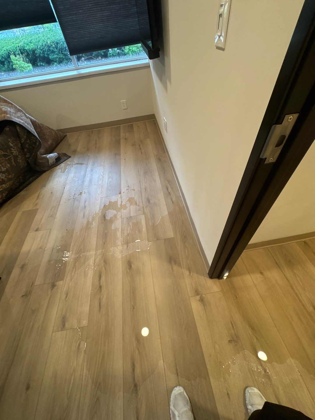 Project in Farmington by EzDry Water Mitigation & Property Restoration