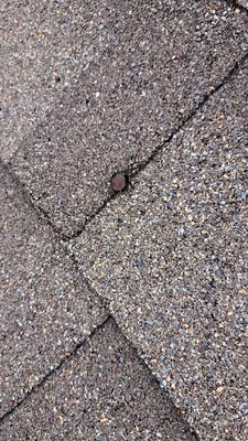 Residential Roofing Repair and Attic Insulation Assessment in Converse