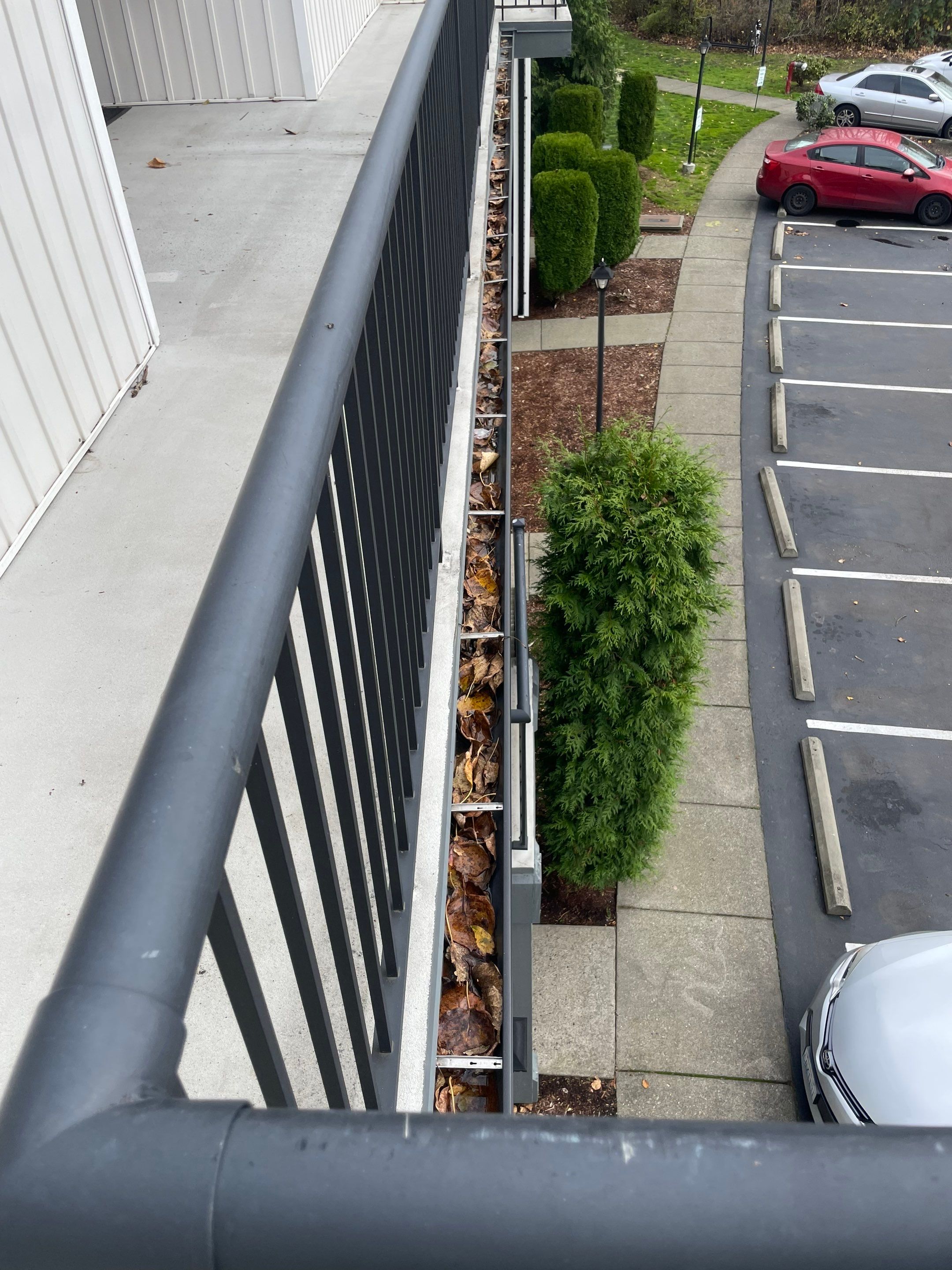 Commercial gutter cleaning Bellingham, WA before photo with filled gutters