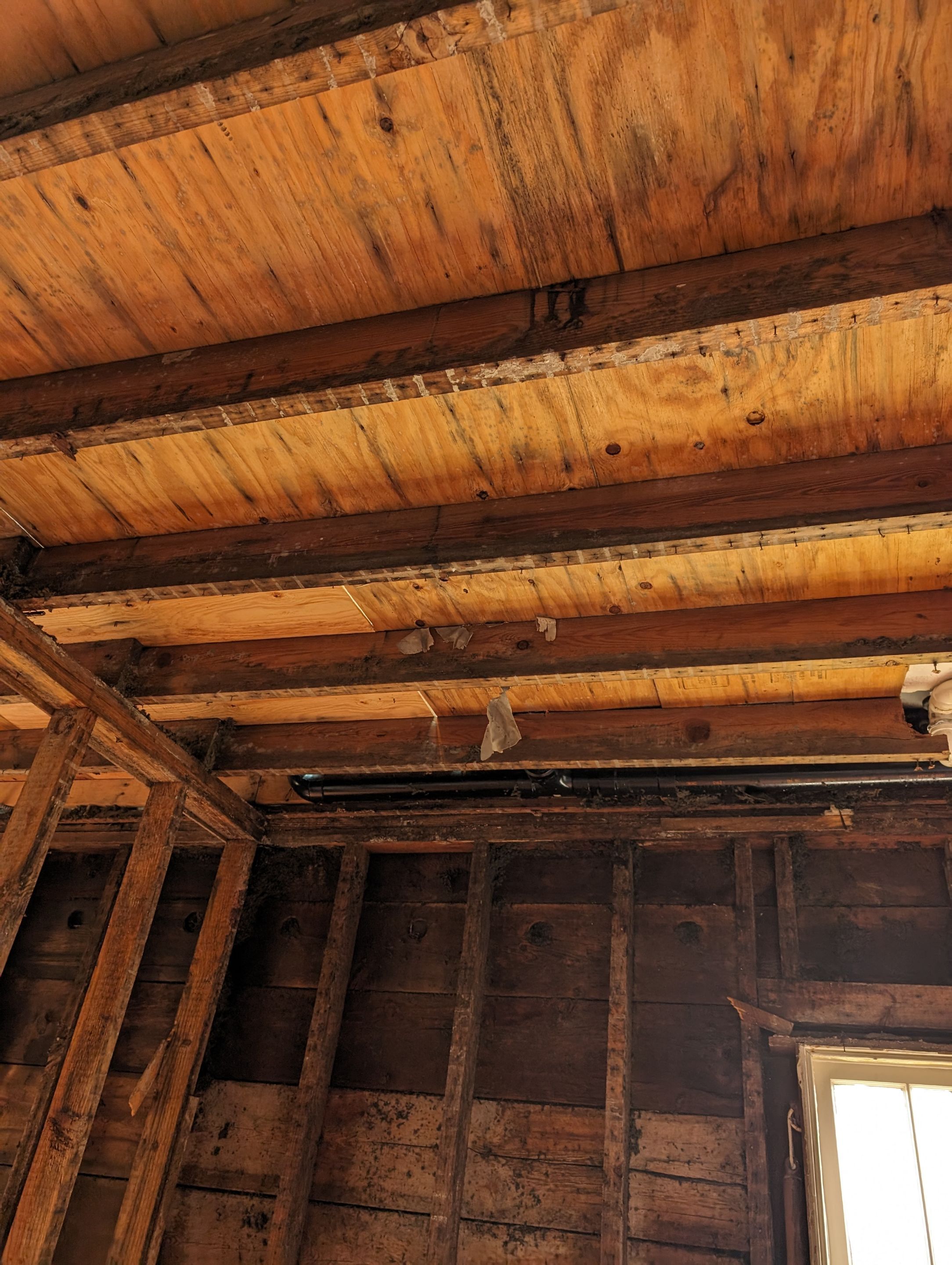Emergency Service Water Mitigation in Louisville, KY by ANR Restoration