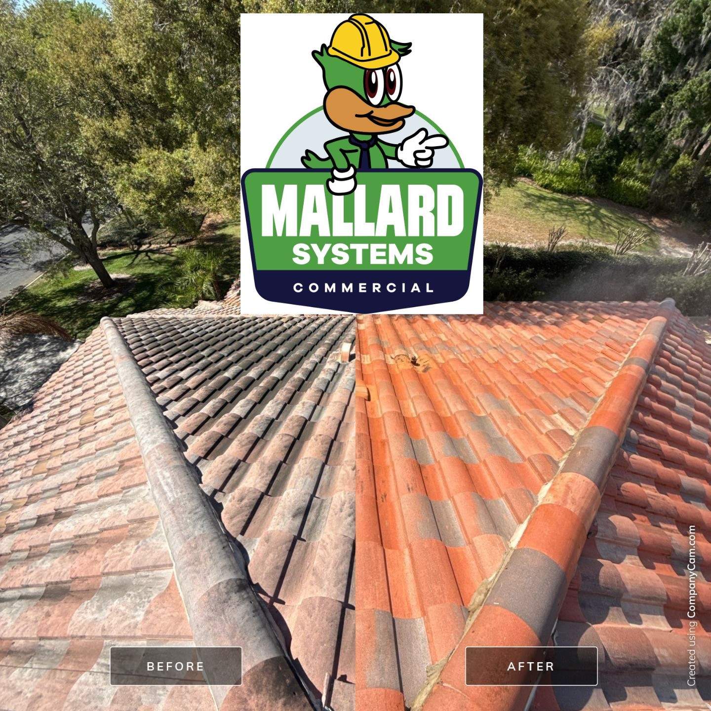Tile Roof Cleaning by Mallard Systems