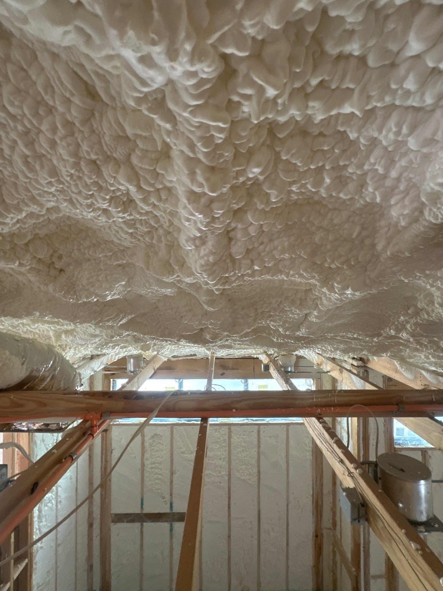 Your Fully Encapsulated Dream Home In Dallas TX! by Apex Insulation Solutions
