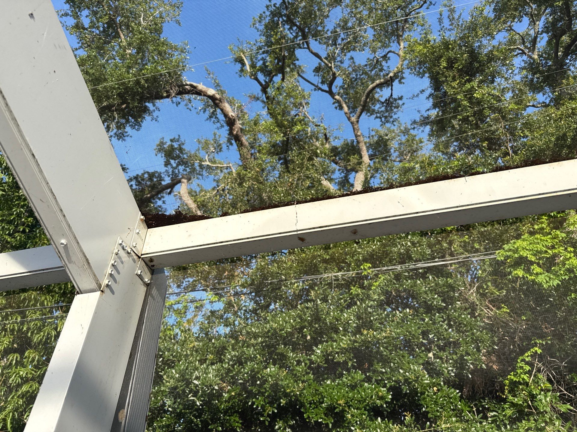Painted Pool Deck & Pool Cage Cleaning in Allendale – Bradenton, FL by Sunshine AquaWash