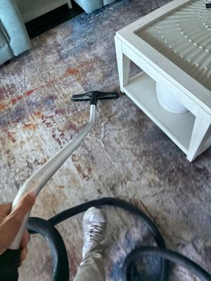 Black Mold Removal — Fort Myers, FL
