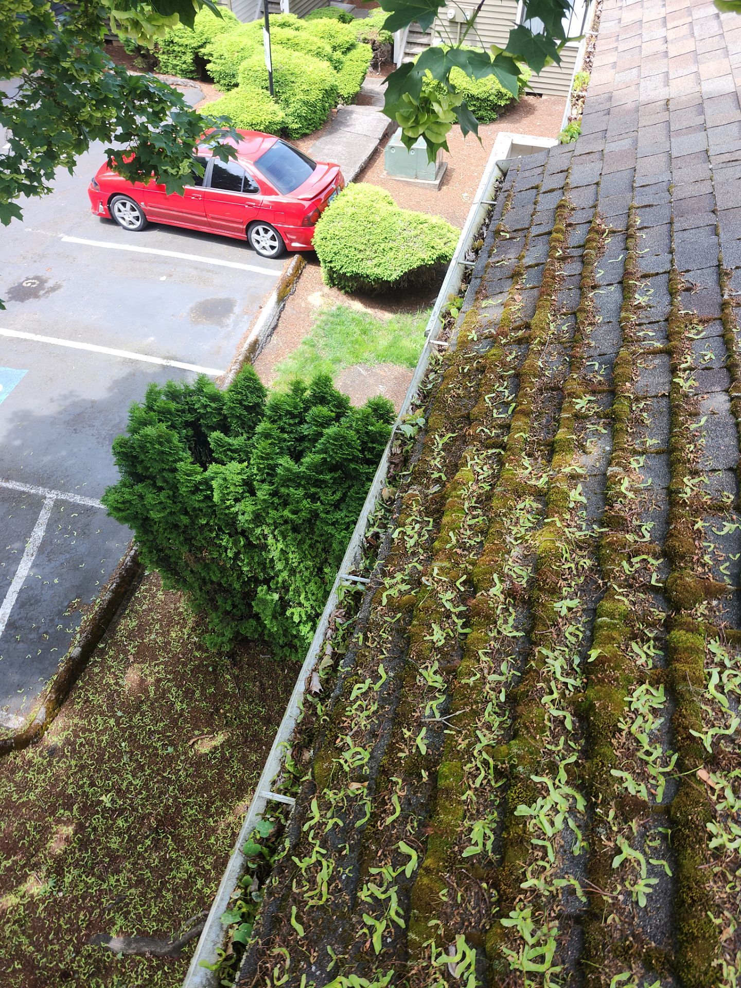 Commercial gutter cleaning Gresham, OR before photo with filled gutters