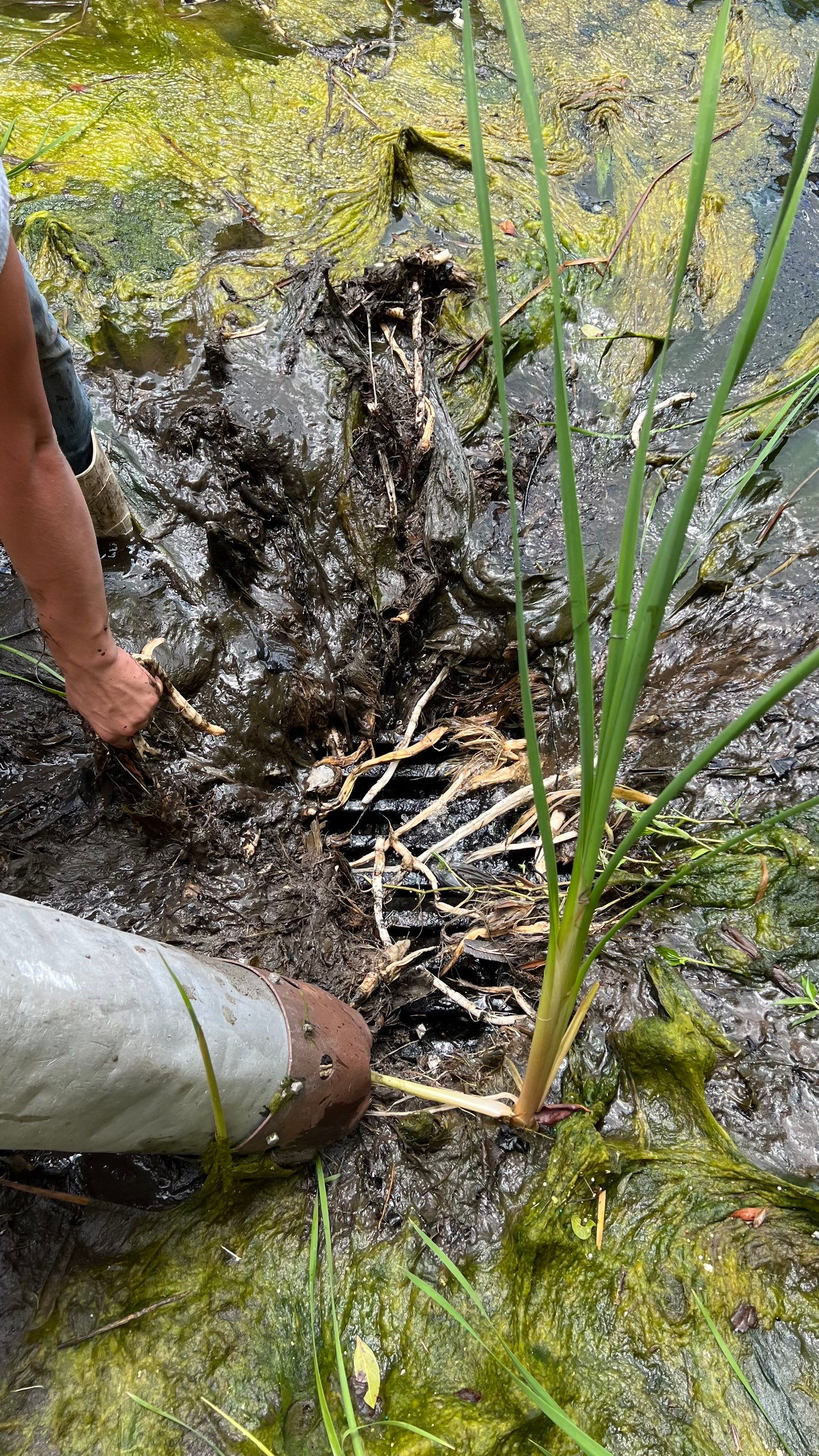 Naples Condo Stormwater System Maintenance by Don Mar, Inc. Storm Water Solutions