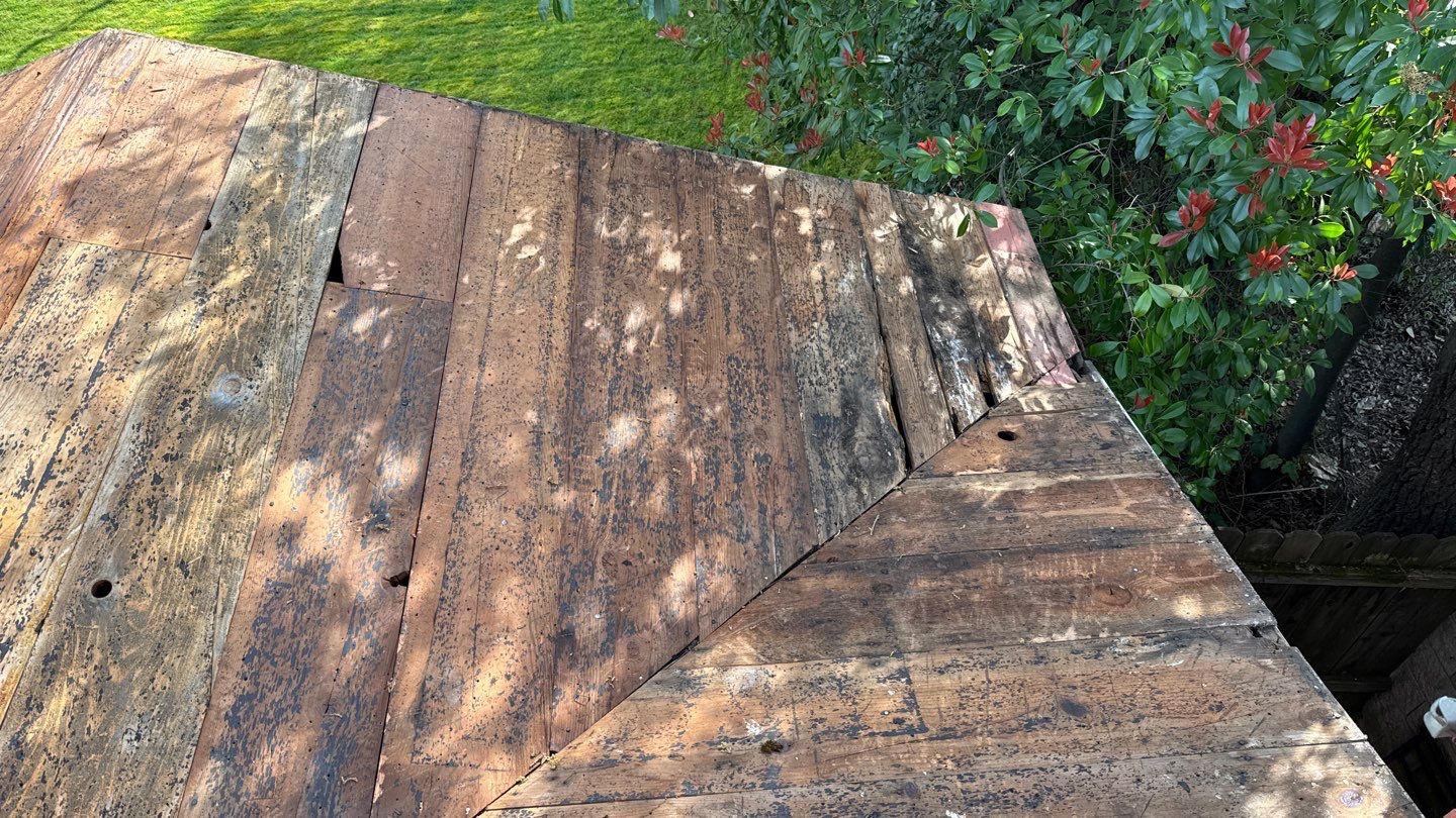 Willa Holmstock by NuLead Construction Inc