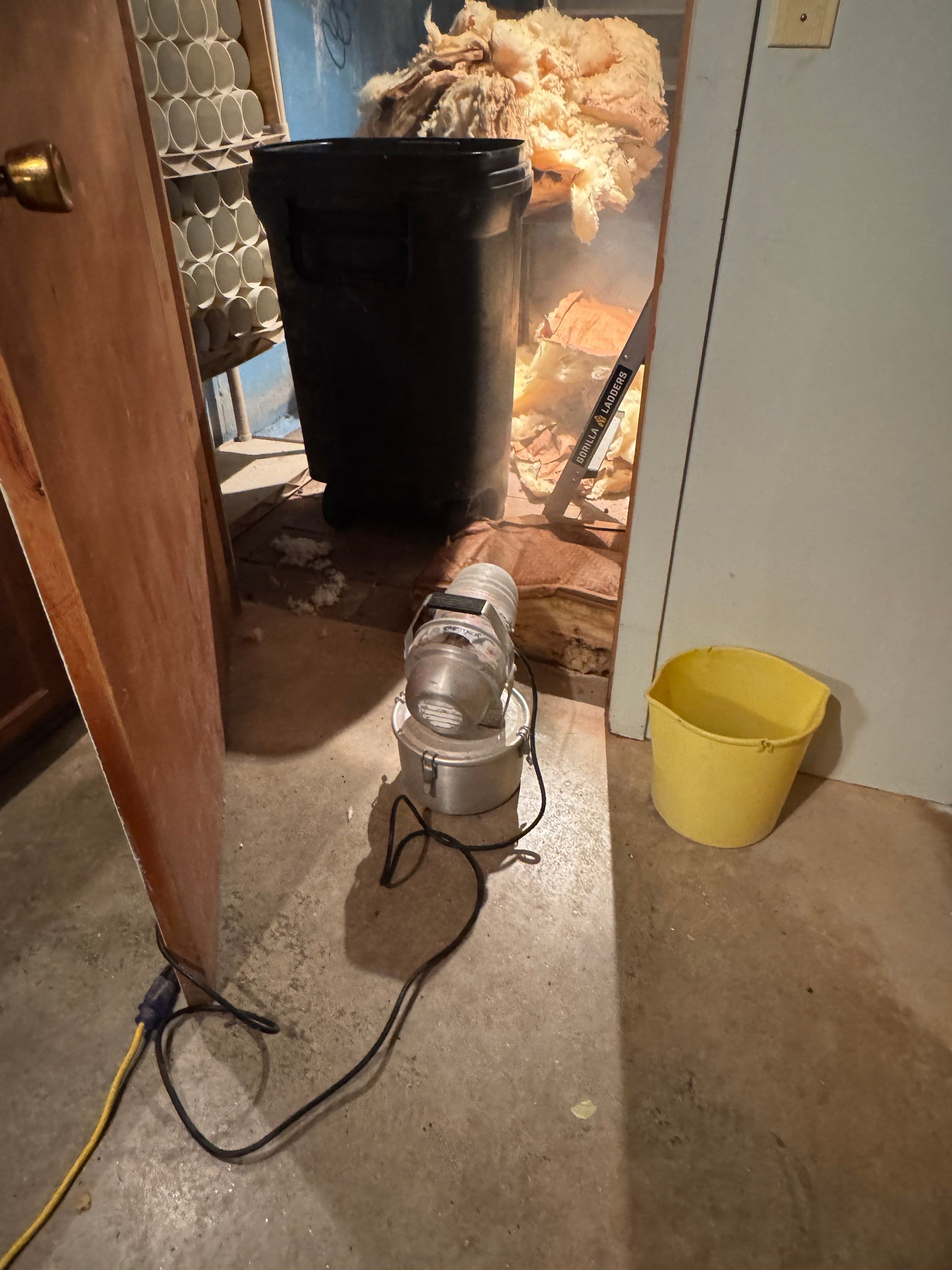 Mold Remediation (Basement) using Home Guarantee by Home Guarantee, LLC