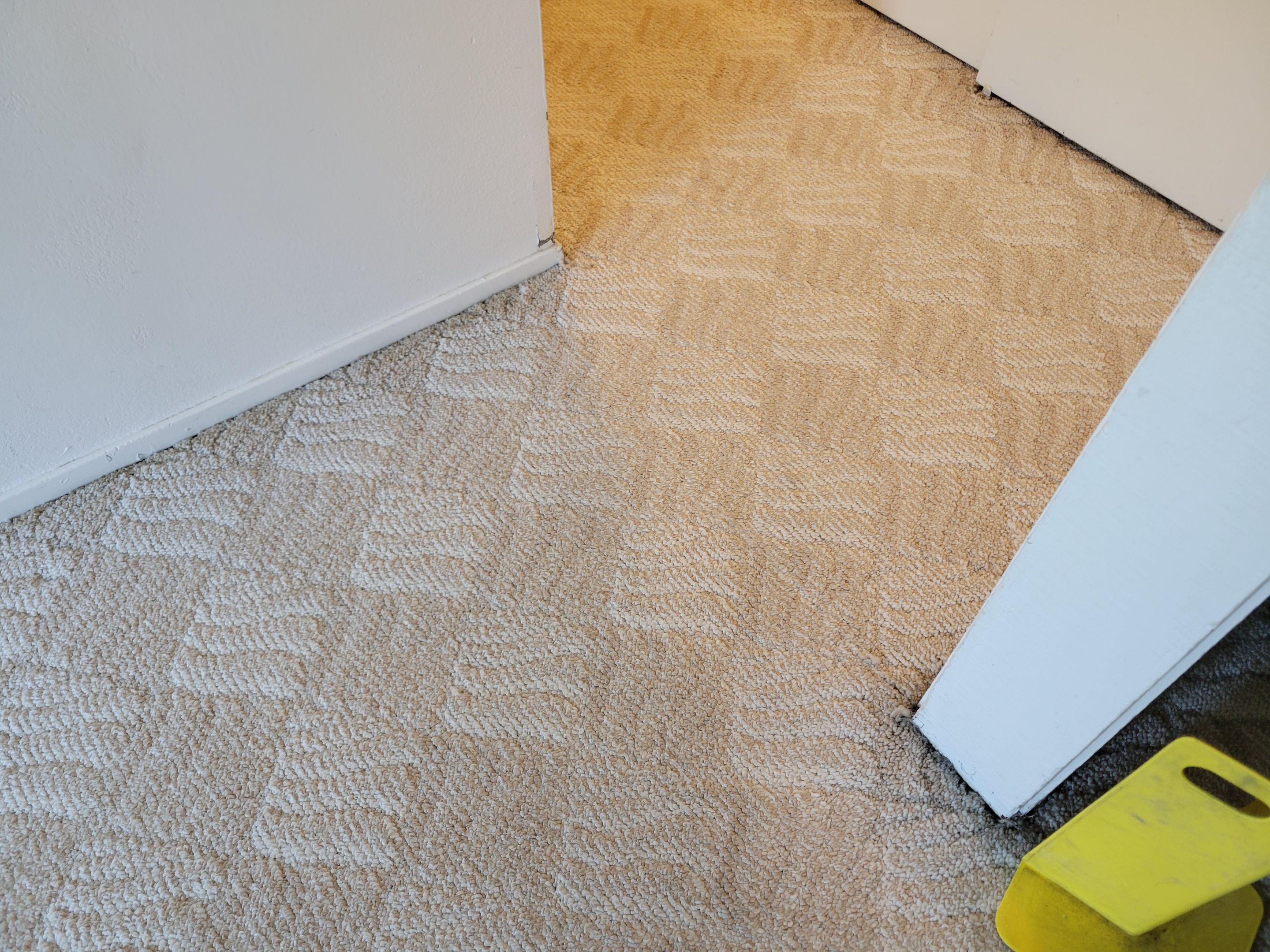 Post Dry Out, Water Stain Removal by Ardent Carpet Restore LLC