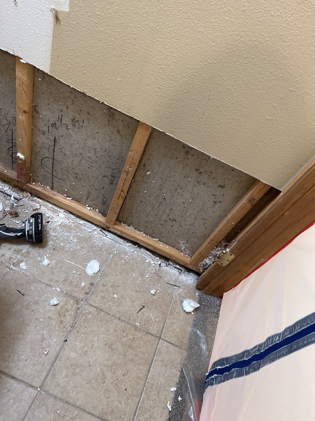 Mold Remediation by Accountable Home Services