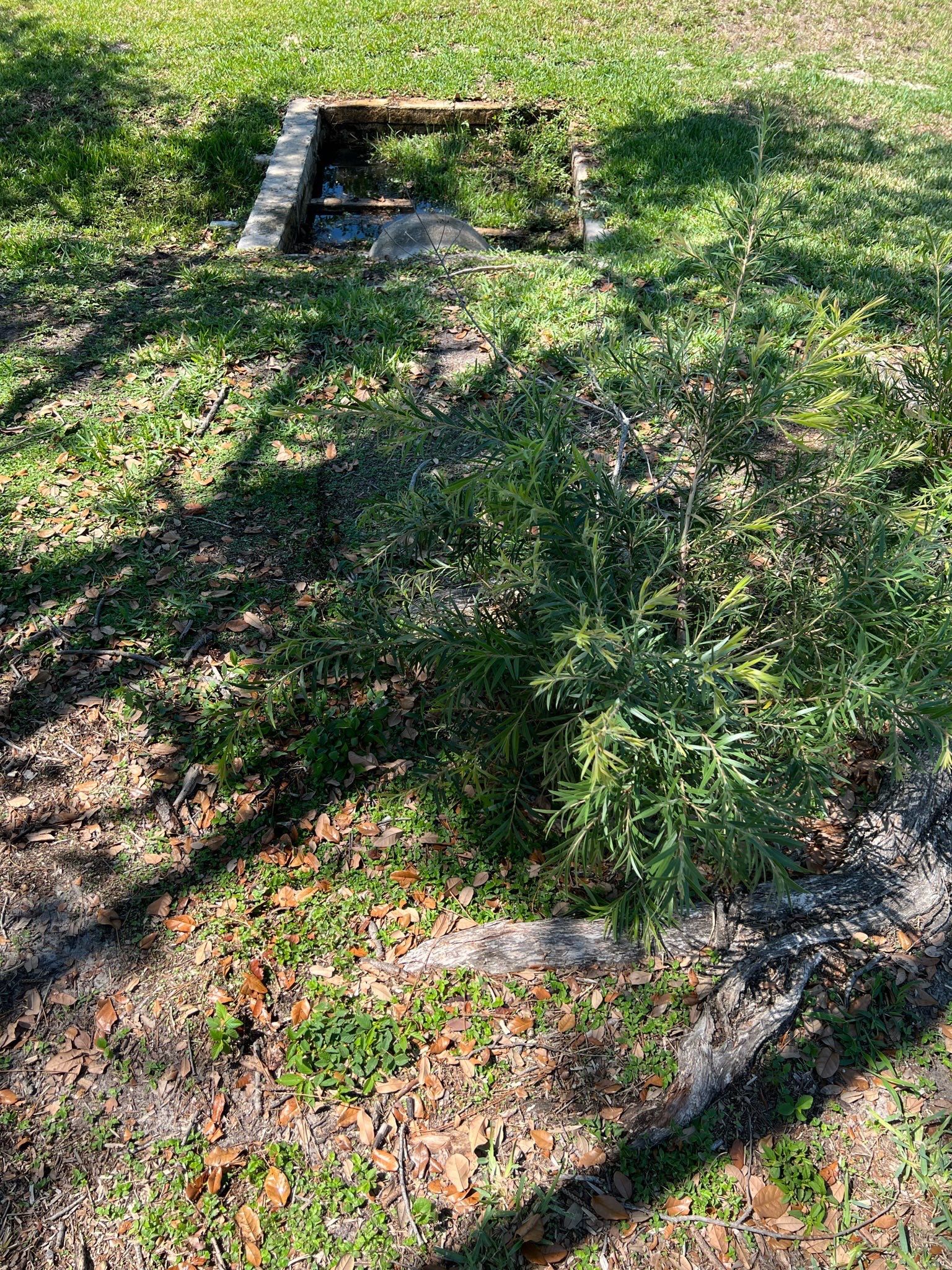 Apartment Complex Storm Water System Maintenance by APS Power & Water