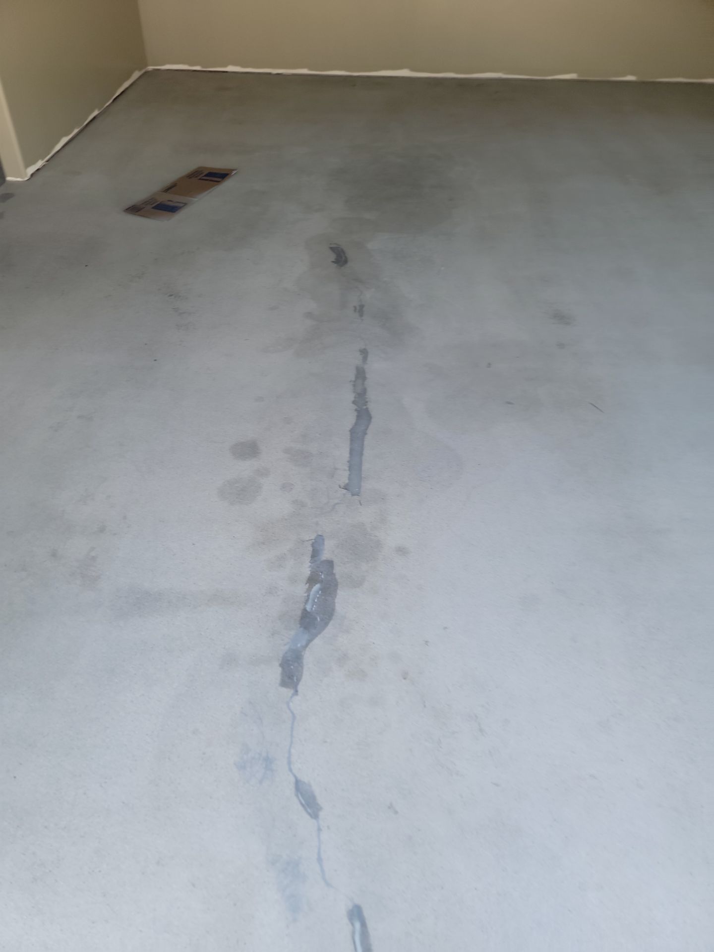 Fantabulous by Matt Gifford Painting LLC