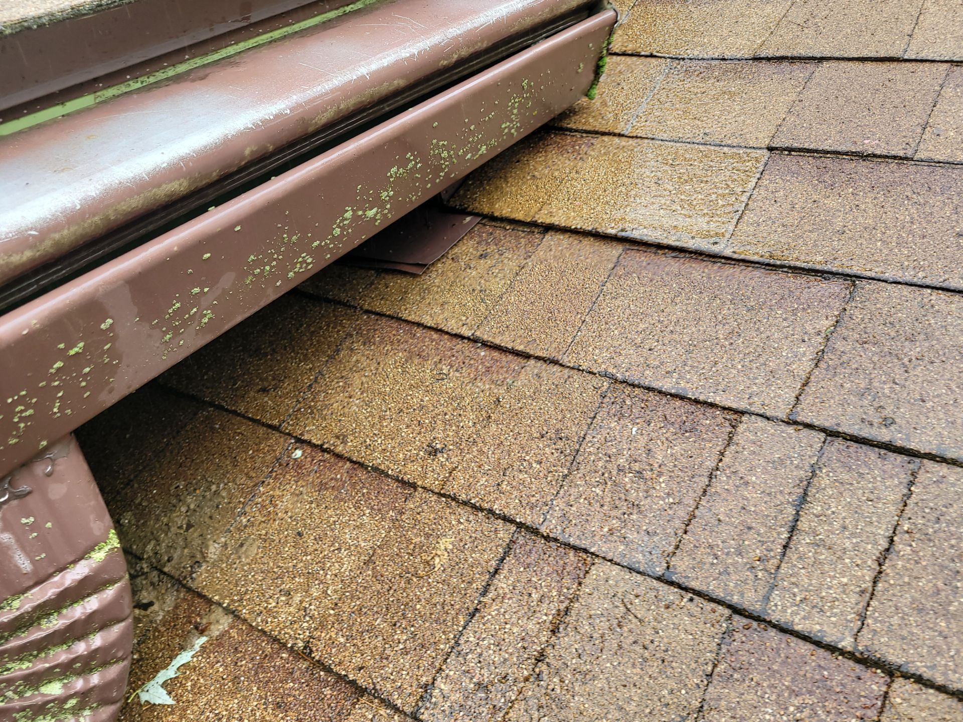 Gene Nibling by Silver Leaf Contracting 