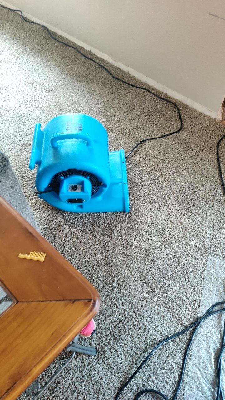 Water Damage  by Accountable Home Services