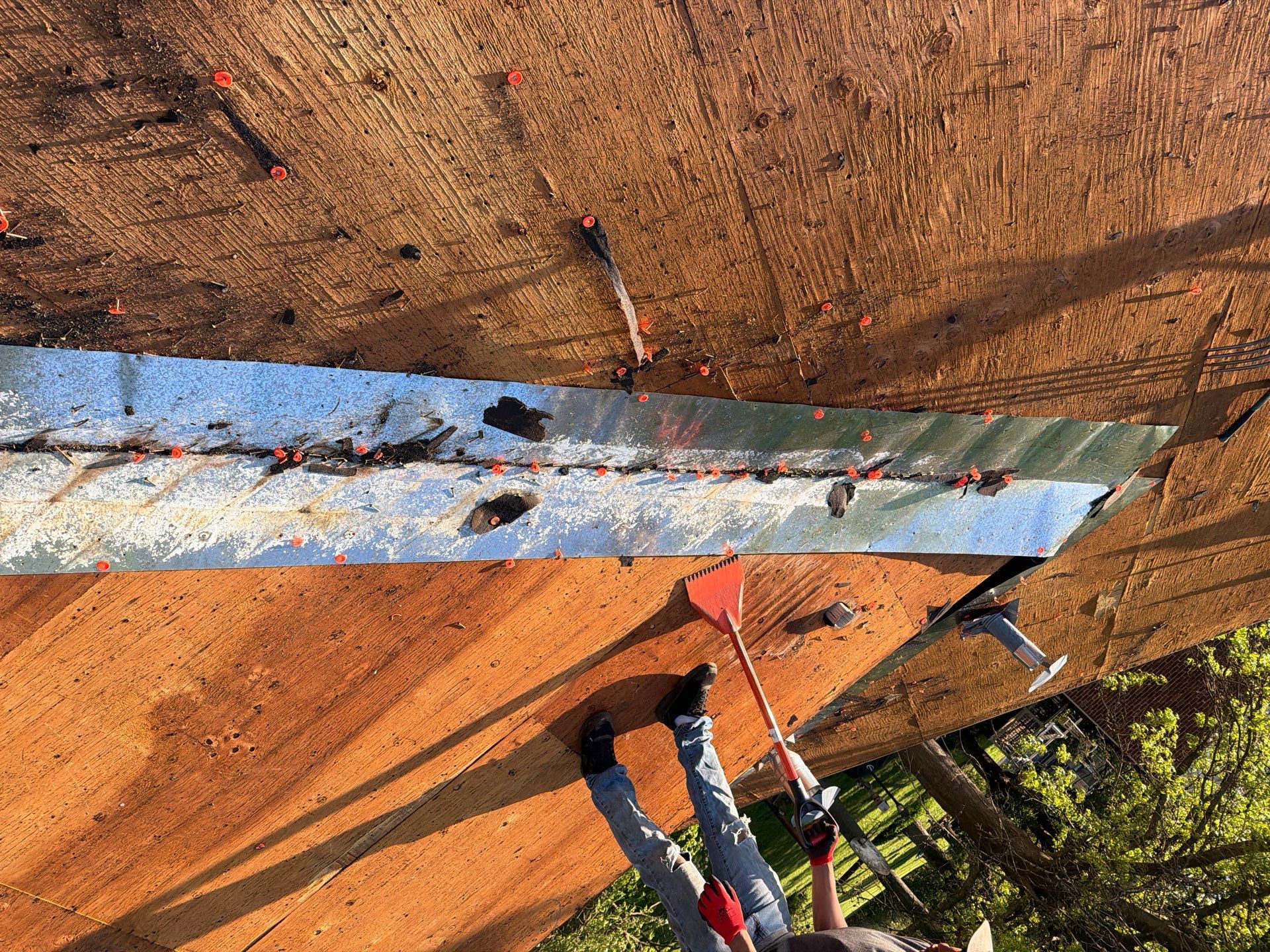 Architectural Shingle Roof Installation and Decking Replacement in Chesterfield by Acute Roofing And Exteriors 