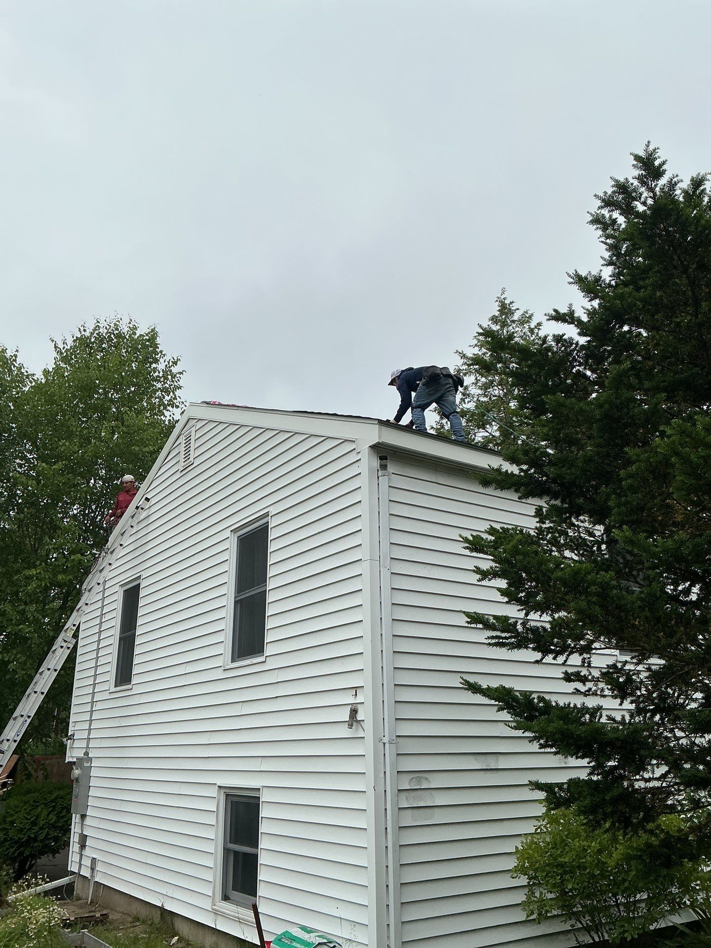 Gutters & Roofing | Acton by Mighty Dog Roofing of Greater Middlesex County