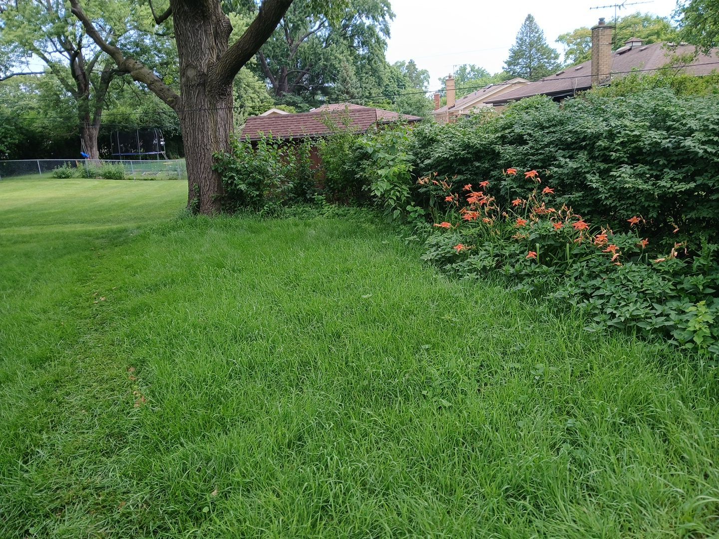 Justin M. - Mount Prospect, IL by A&N 