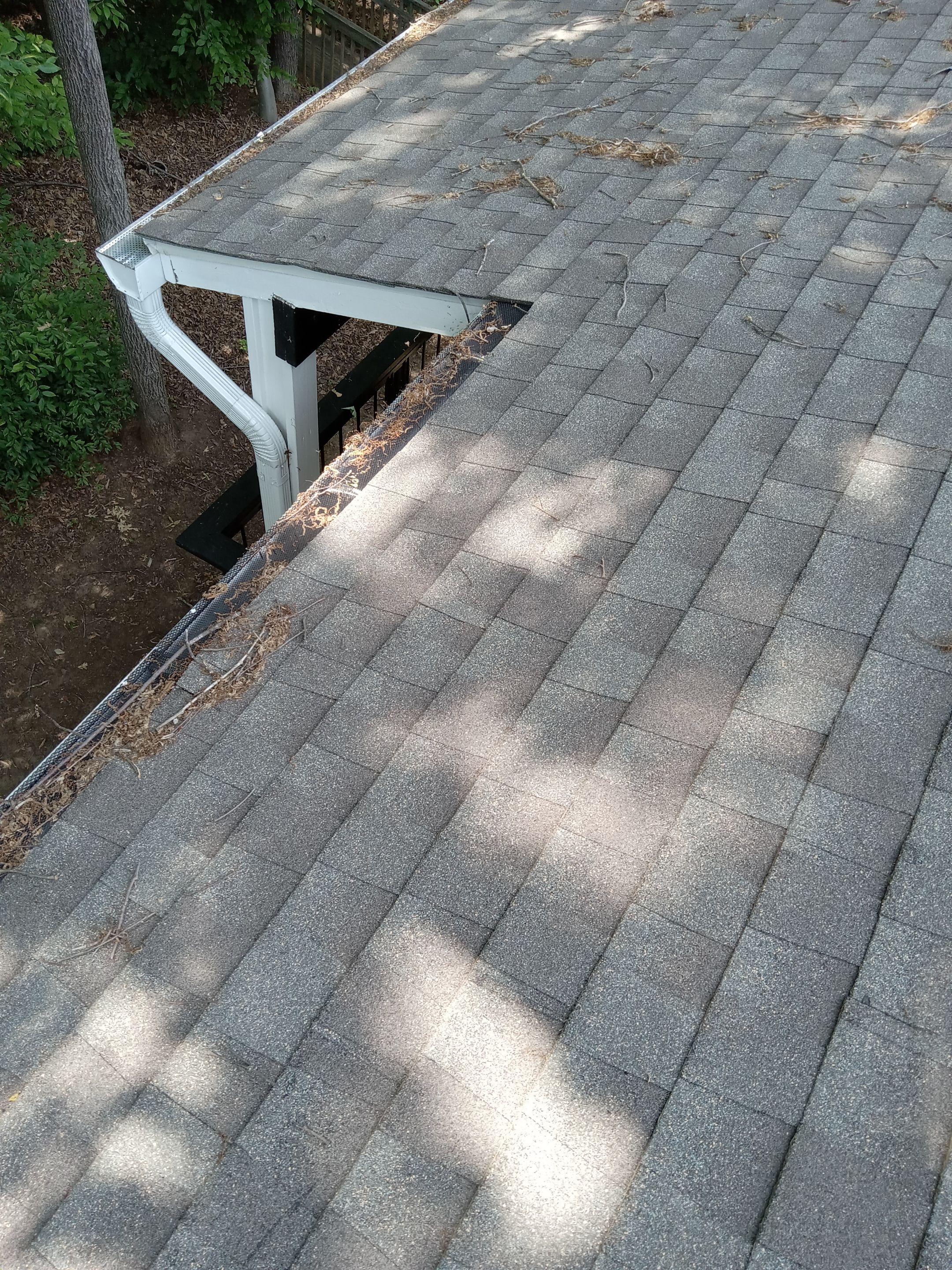 HOA gutter cleaning before photo