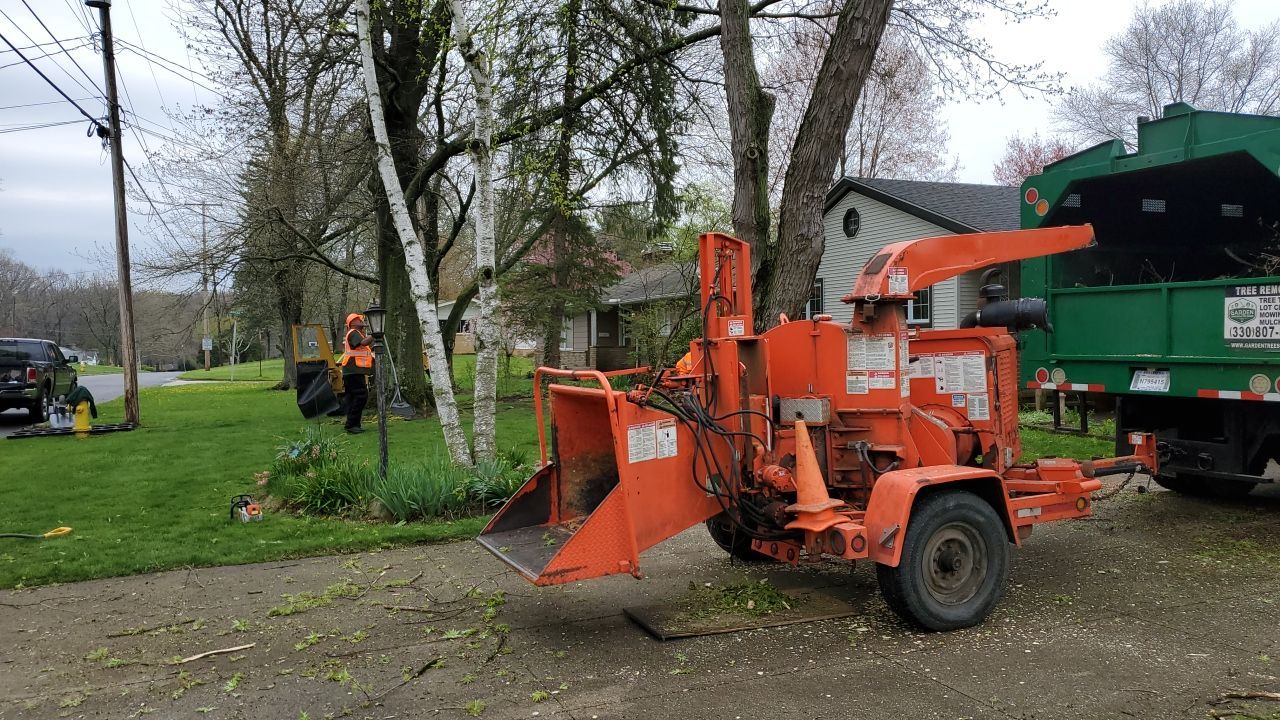 Tree Removal using Tree Removal by Mike Jones & Sons Tree Service LLC 