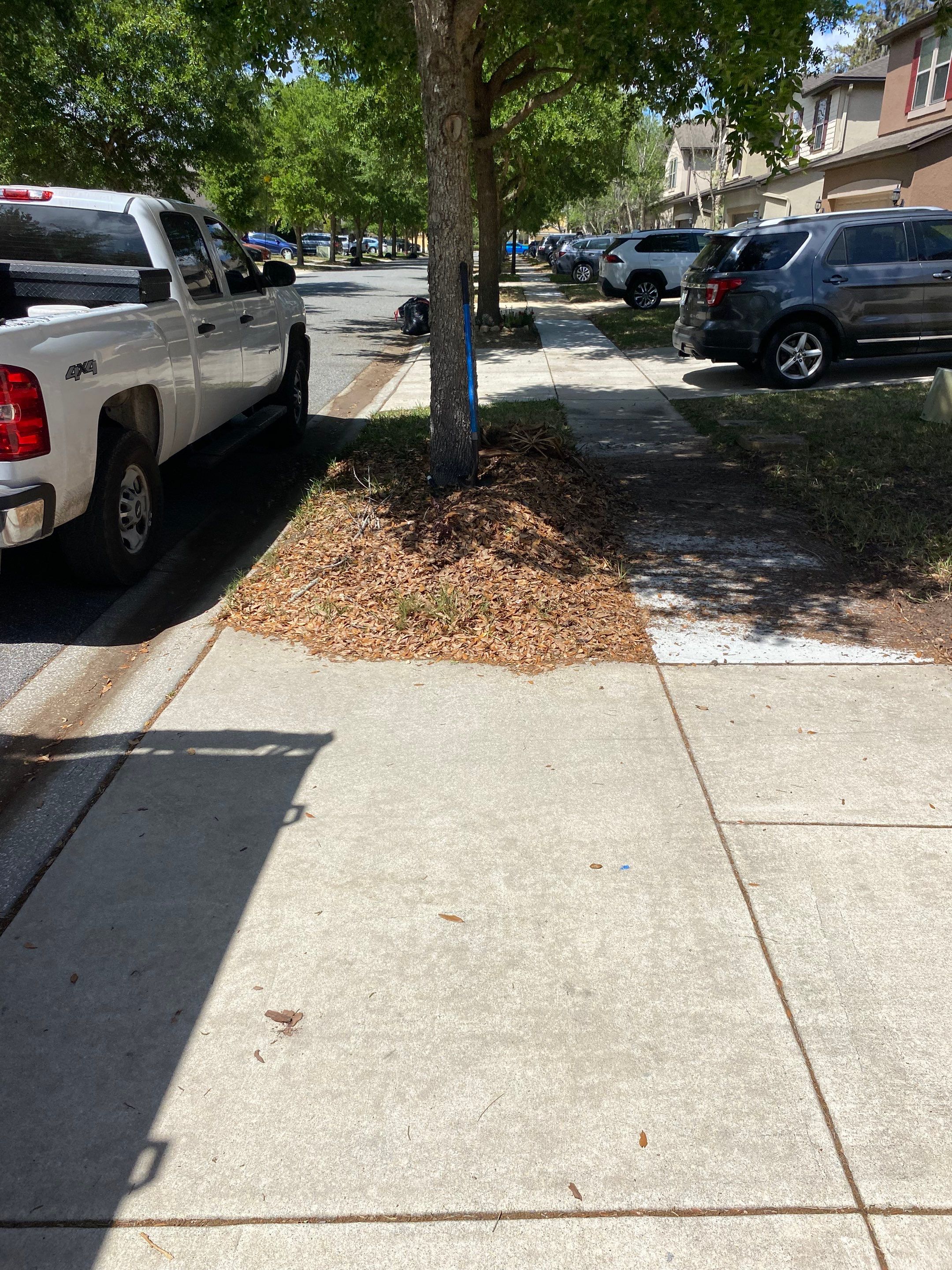 Residential | Mulch and Soil Installation by ProGreen Services