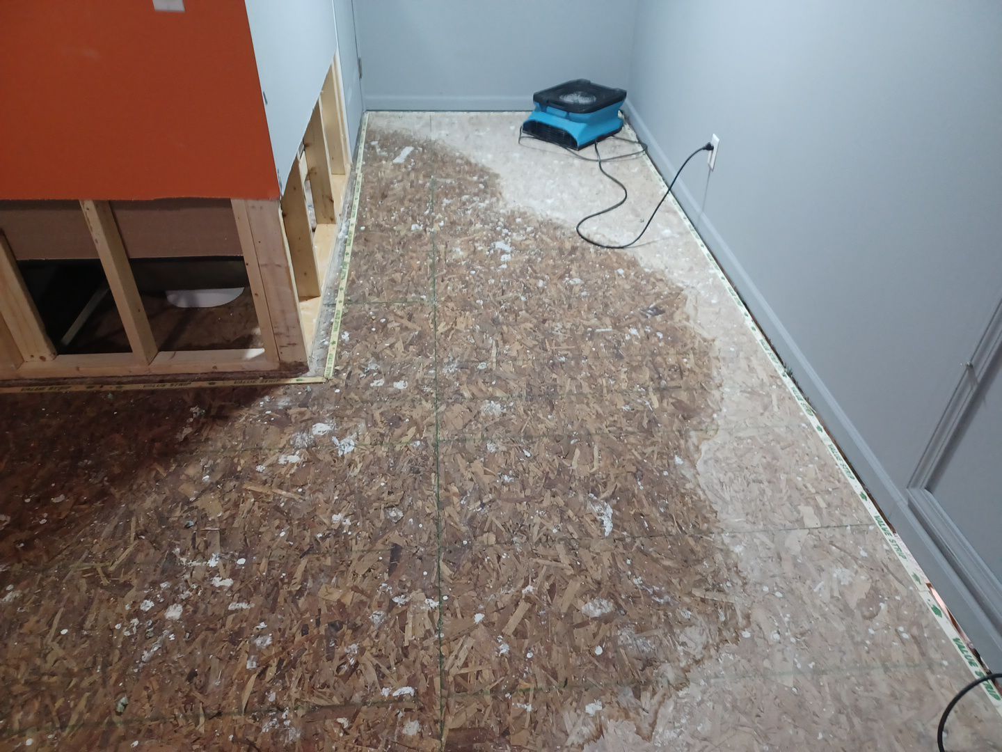 Project in Brighton by EzDry Water Mitigation & Property Restoration