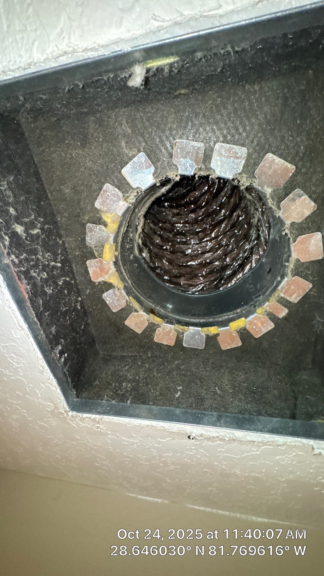 Air Duct Cleaning in Clermont by Hygienic Air, Inc