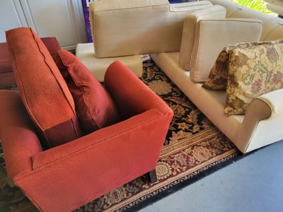 Cleaning a Sofa with Chase and a Chair