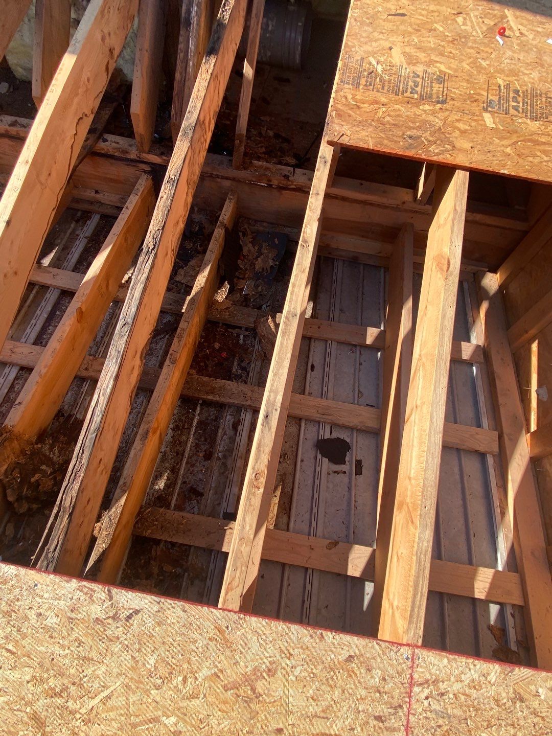 Project in Creedmoor - Certainteed Landmark Silver Birch by Pro Performance Roofing