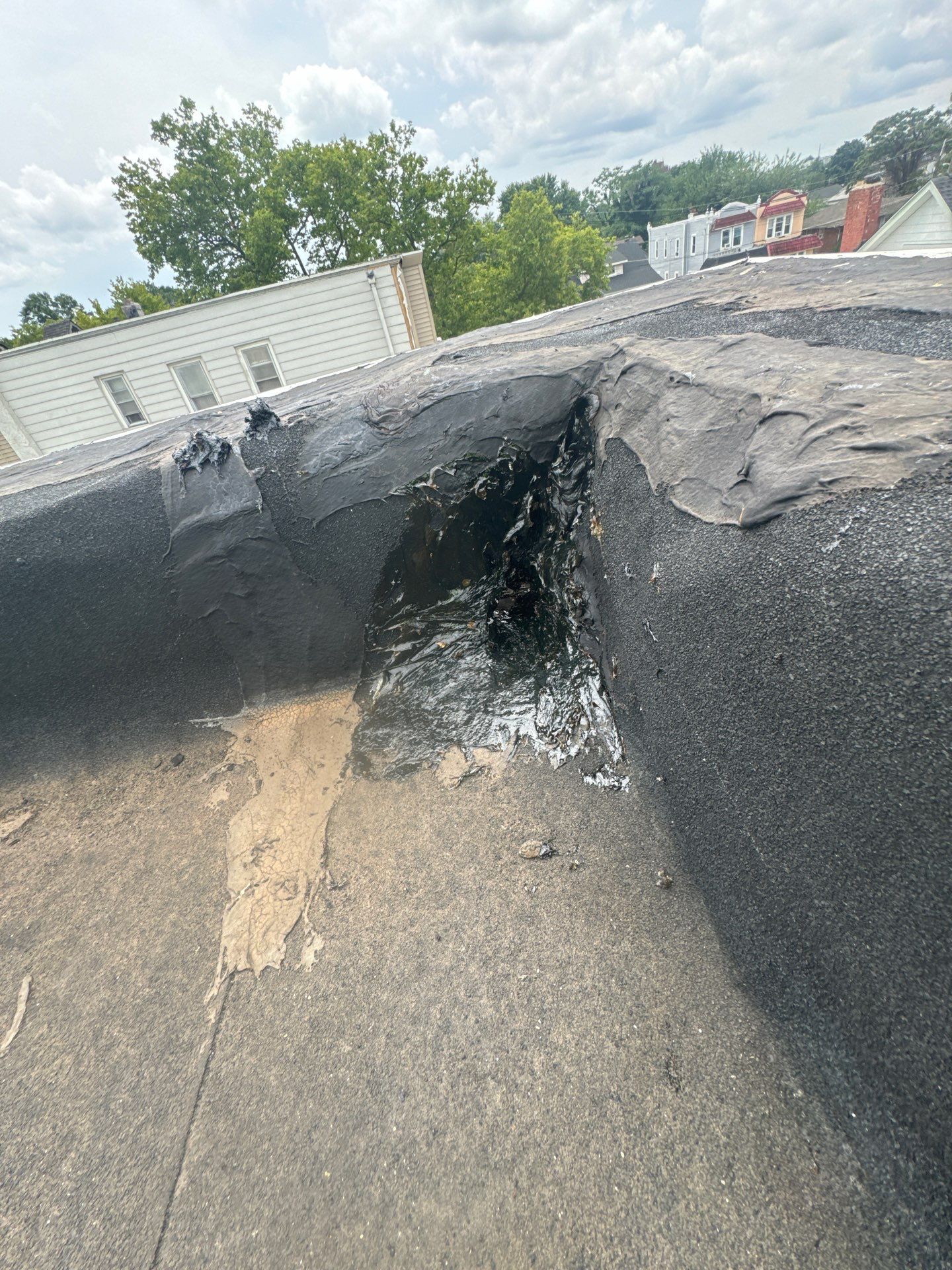 Modified Bitumen Membrane by Reimagine Roofing
