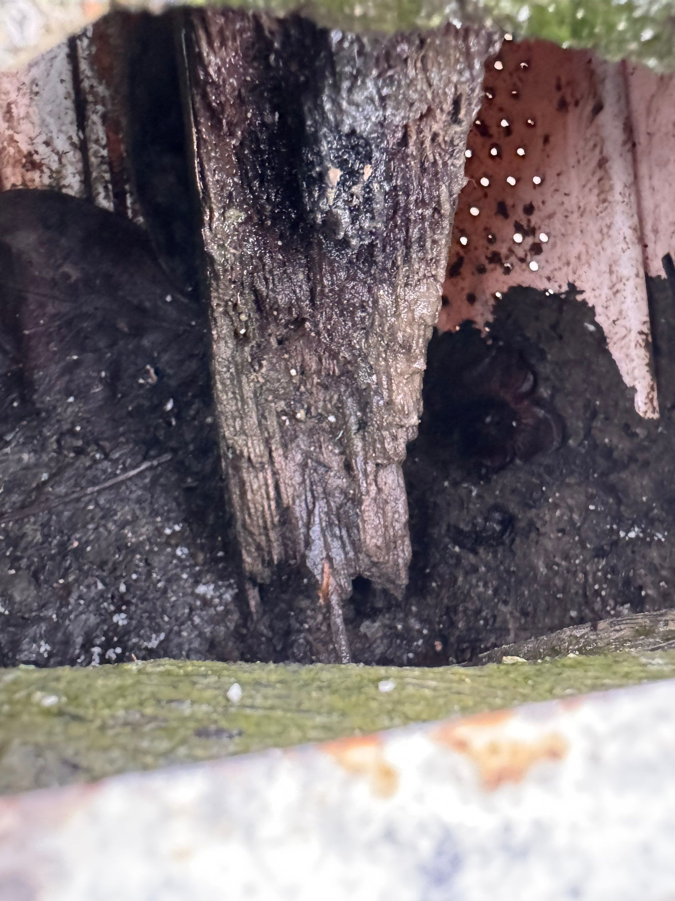 Project in West Sacramento by NuLead Construction Inc