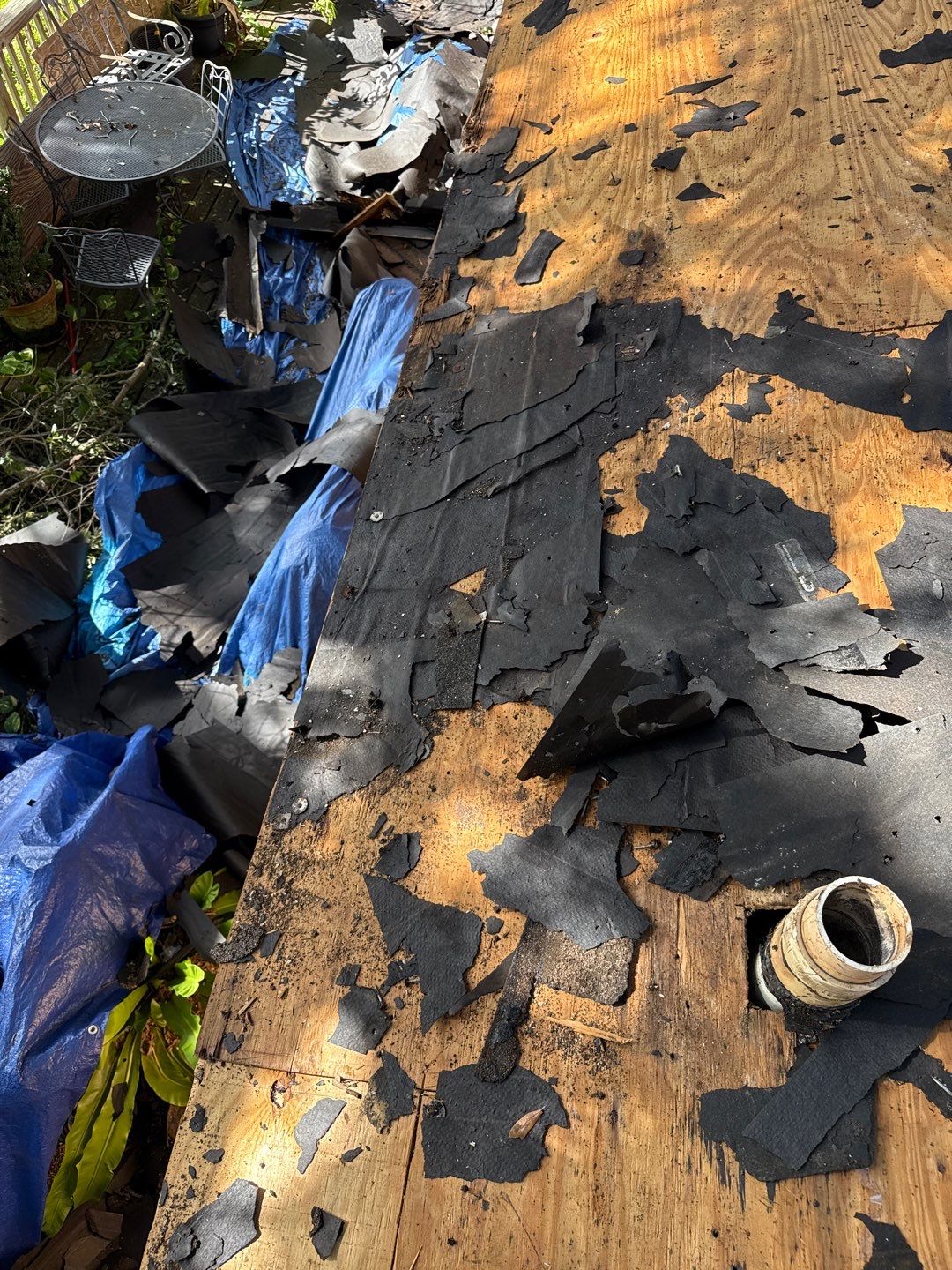 Project in Pinellas Park 33781 by Mitchell Roofing Company LLC 