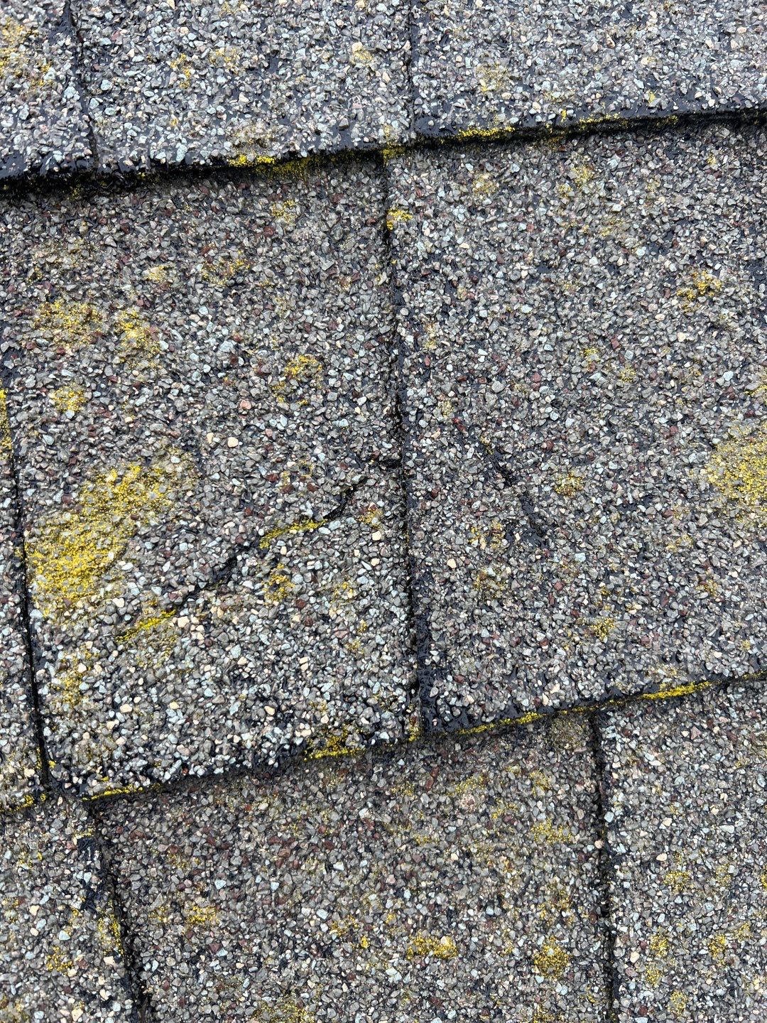 Residential Remodel using Malarkey Highlander by Orezona Building & Roofing Company, Inc.
